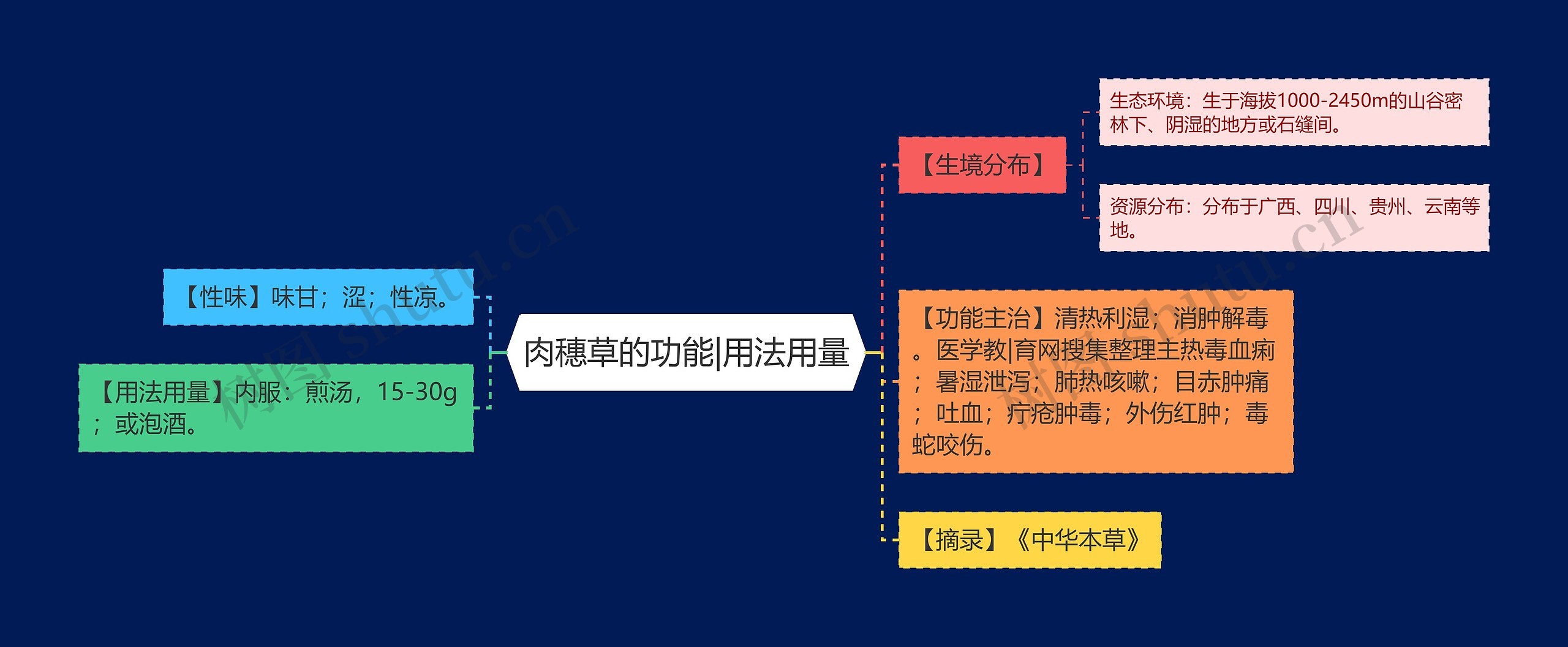 肉穗草的功能|用法用量思维导图