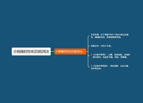 小铜锤的性味|功能|用法