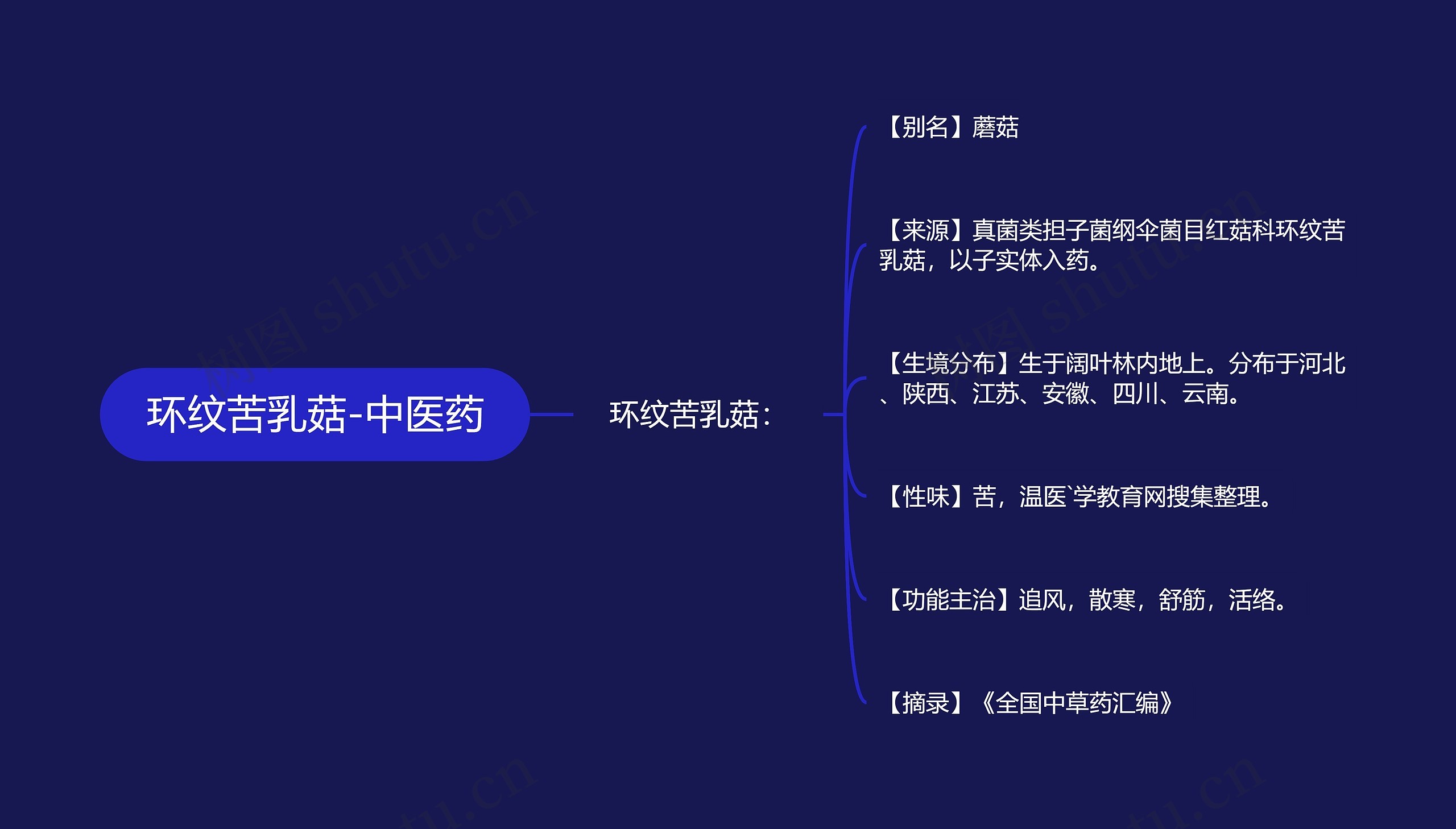 环纹苦乳菇-中医药思维导图