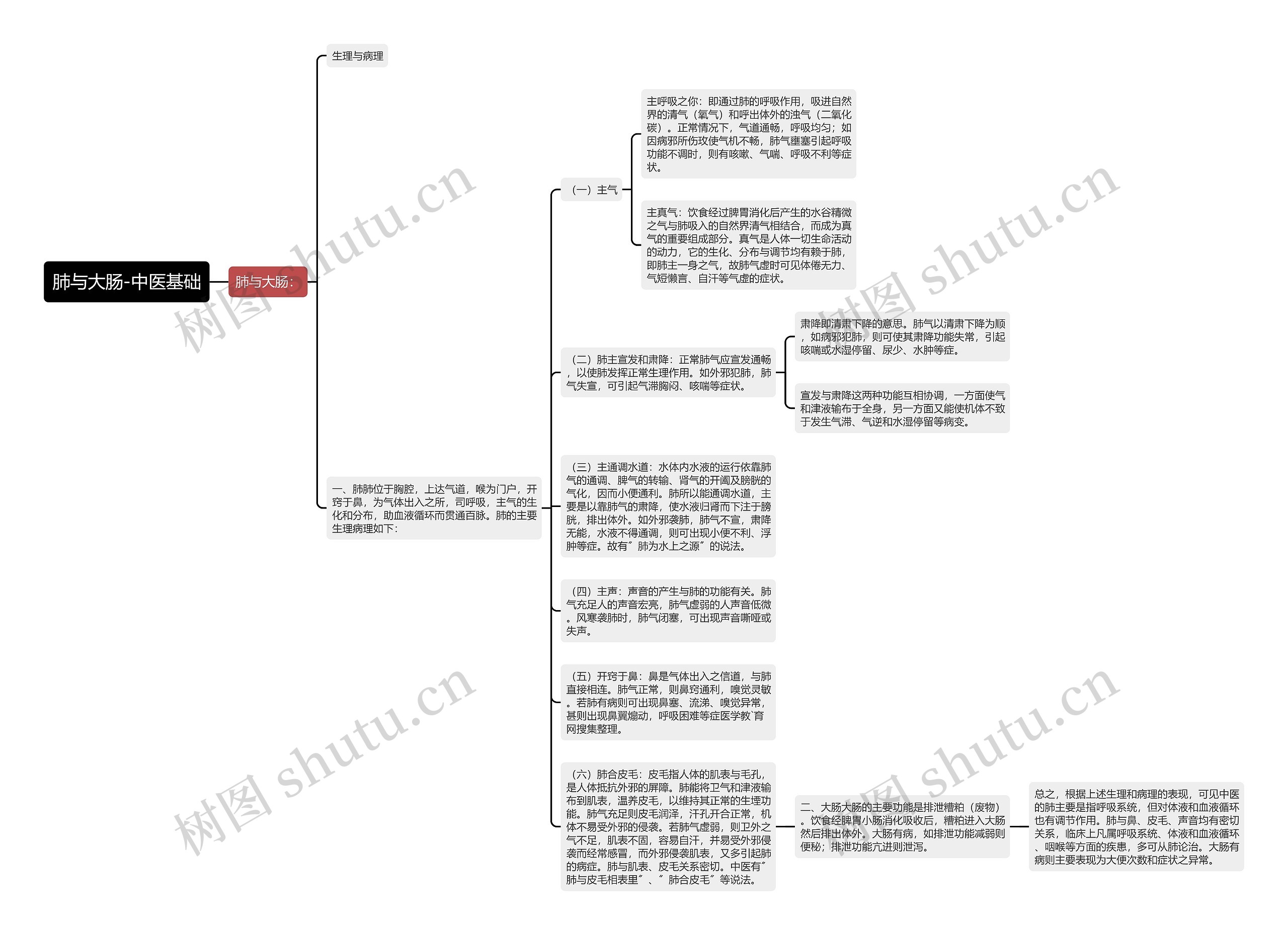 肺与大肠-中医基础思维导图