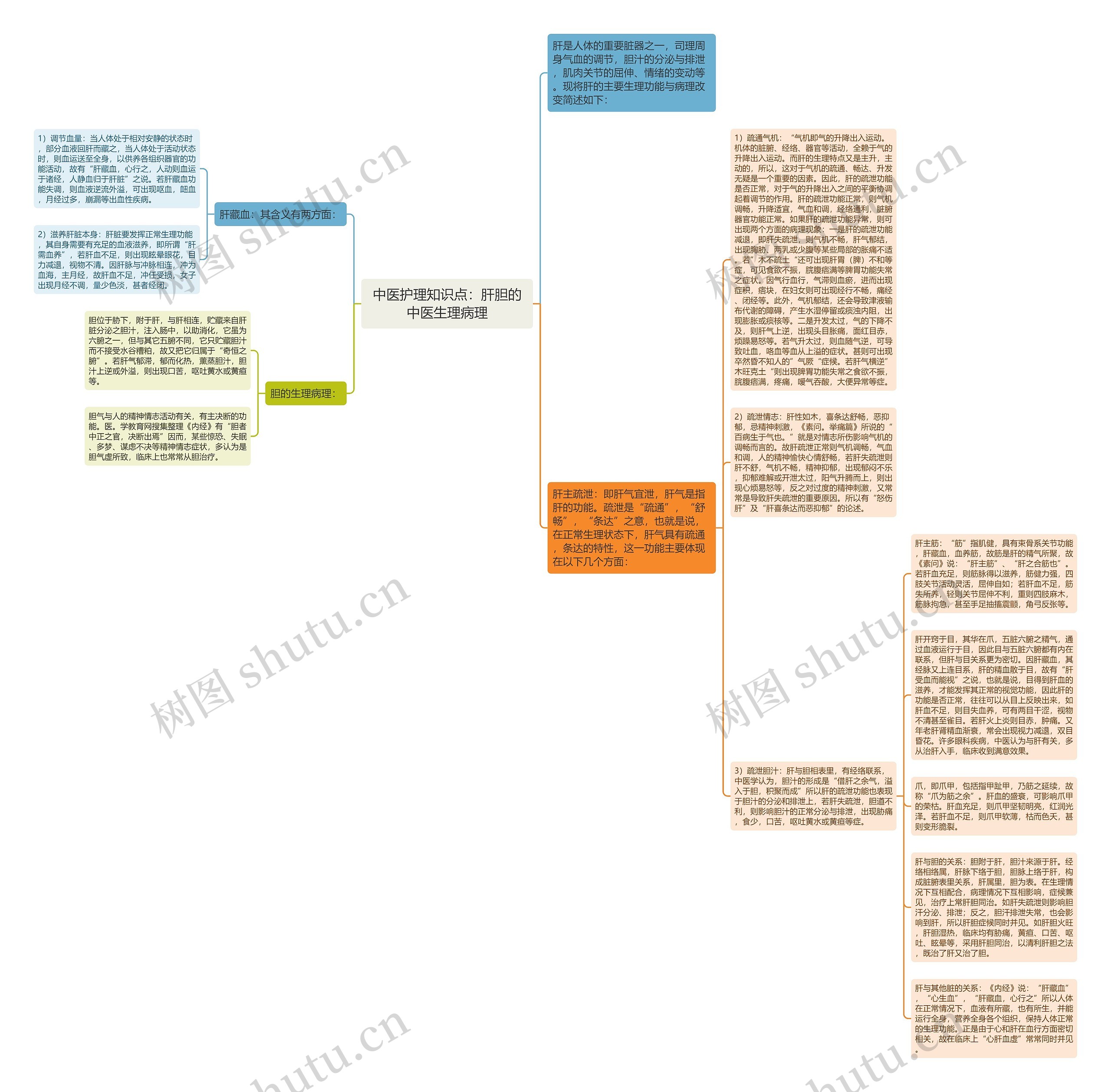 中医护理知识点：肝胆的中医生理病理思维导图