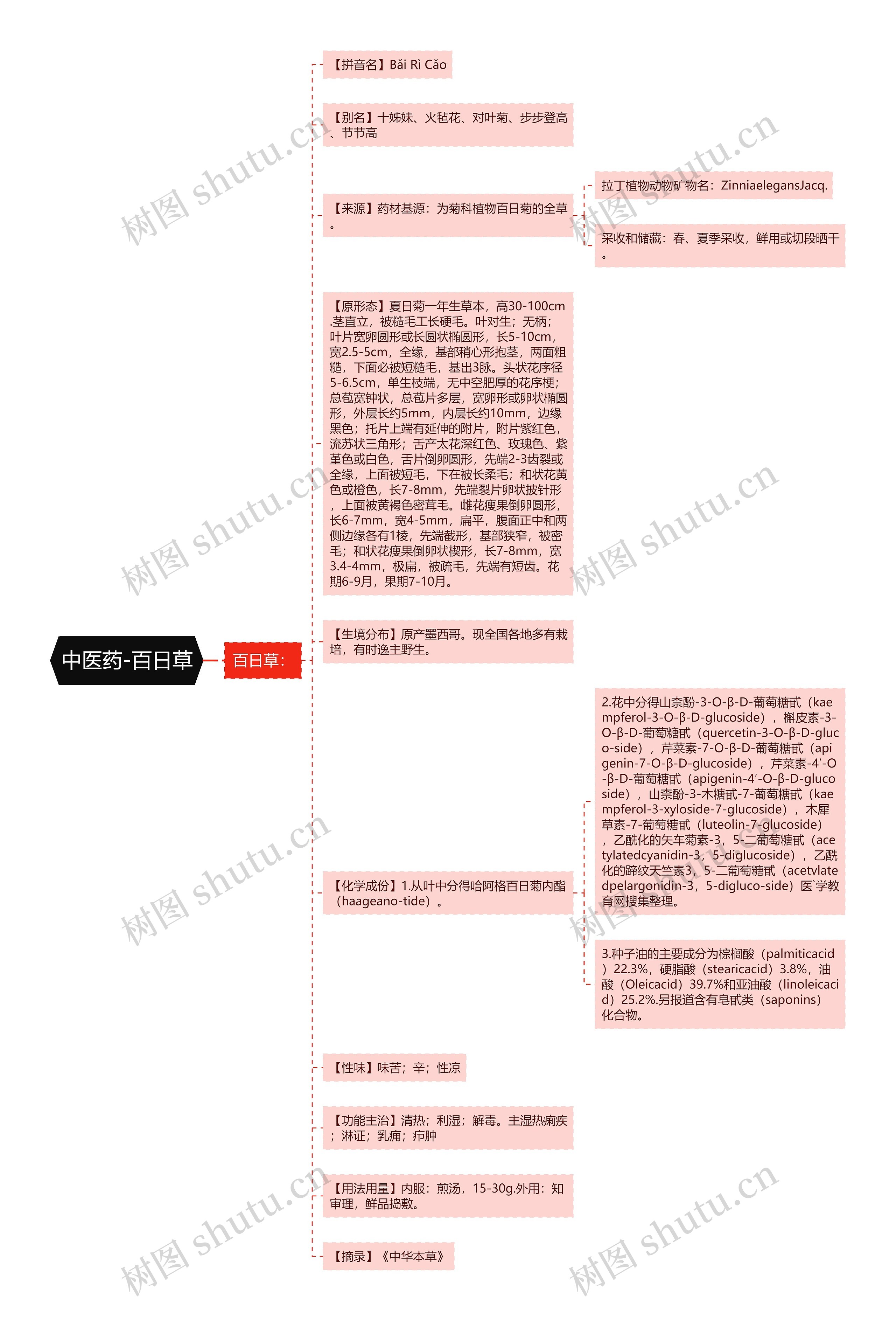 中医药-百日草思维导图