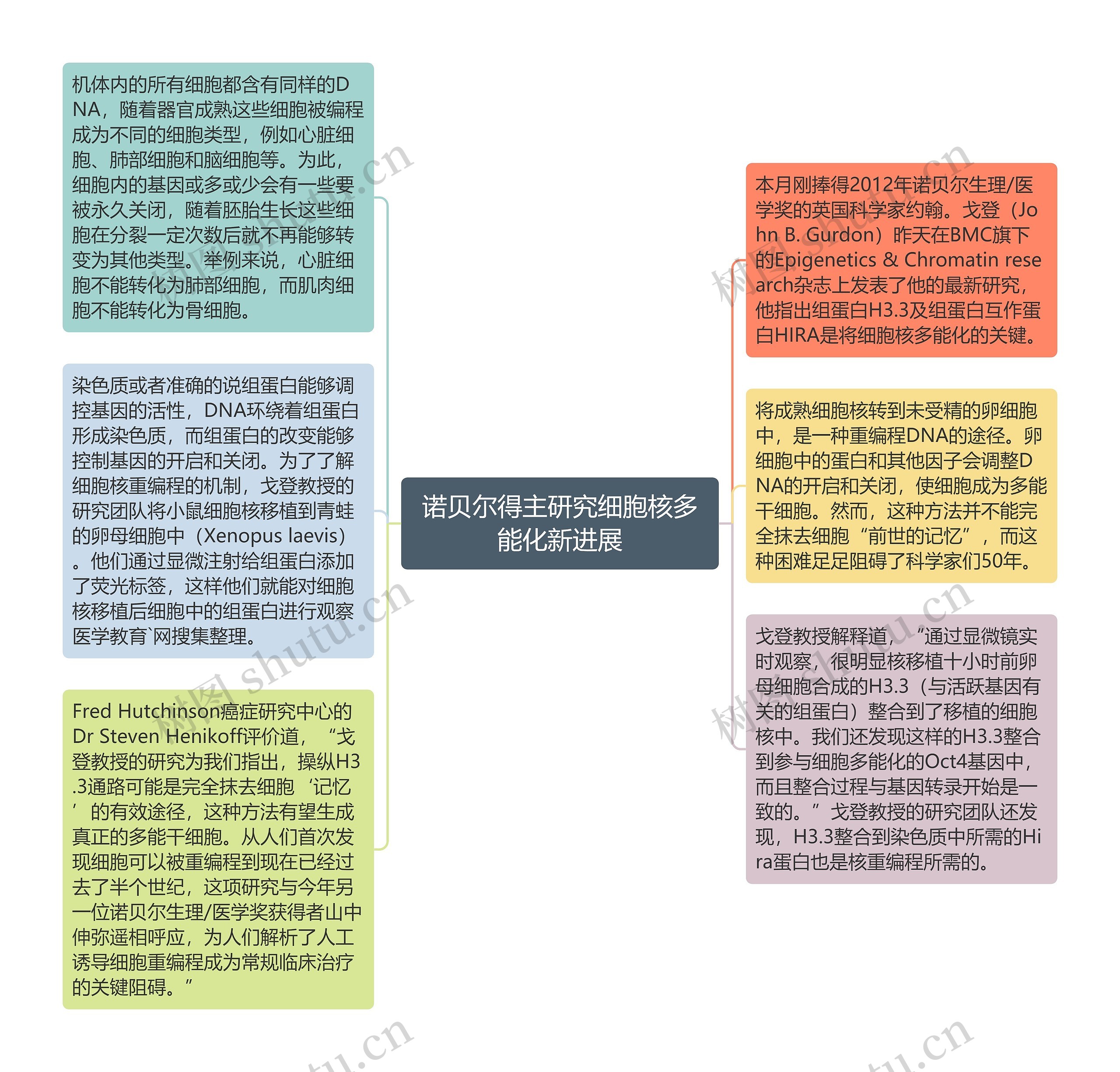 诺贝尔得主研究细胞核多能化新进展思维导图