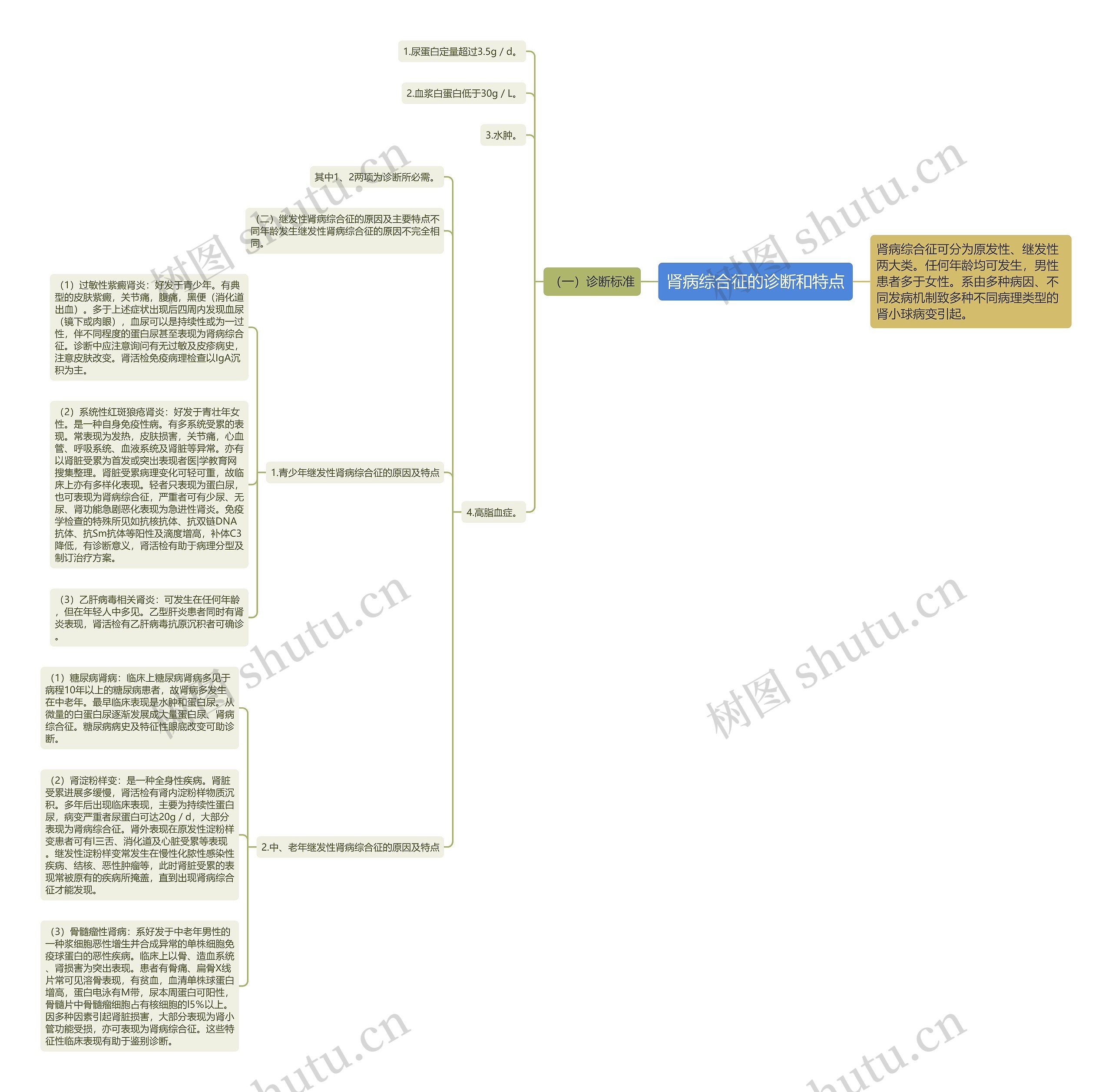 肾病综合征的诊断和特点 肾病综合征的诊断和特点