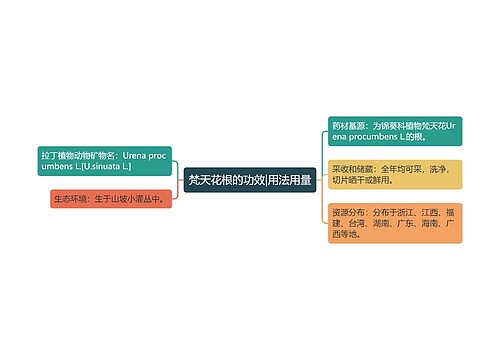 梵天花根的功效|用法用量