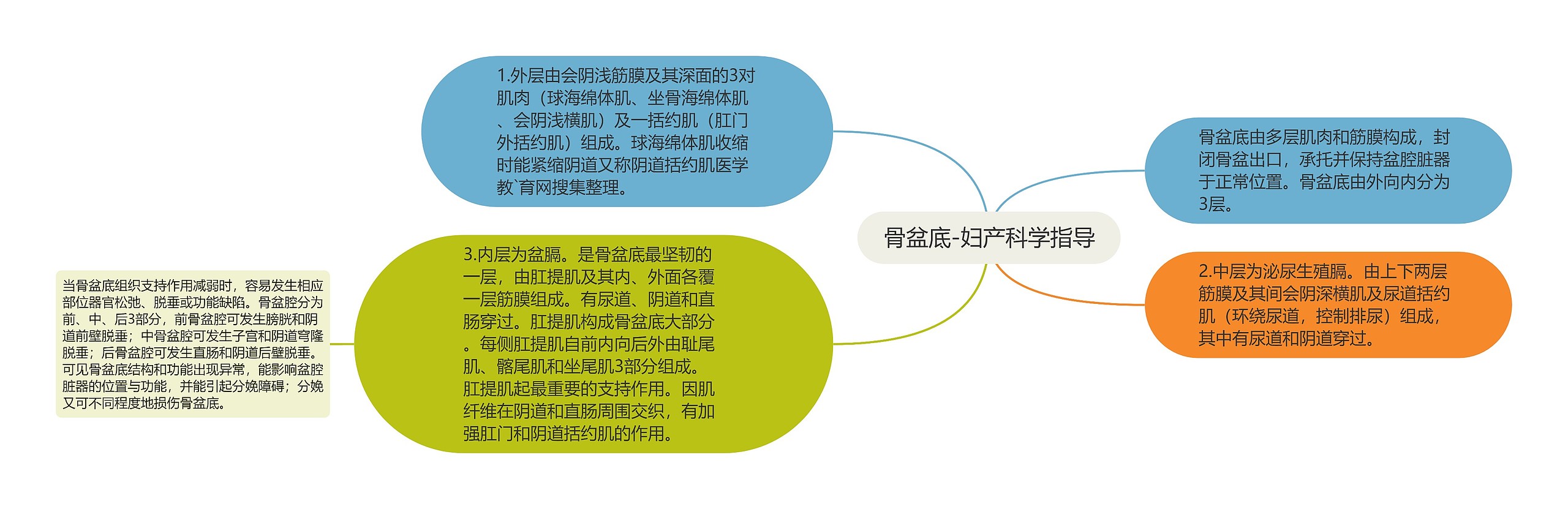 骨盆底-妇产科学指导思维导图