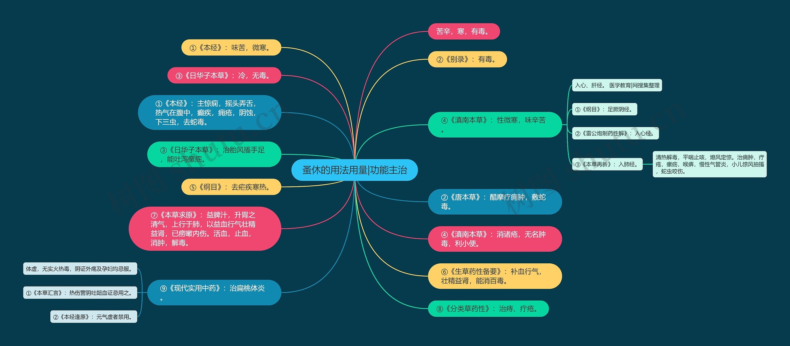 蚤休的用法用量|功能主治思维导图