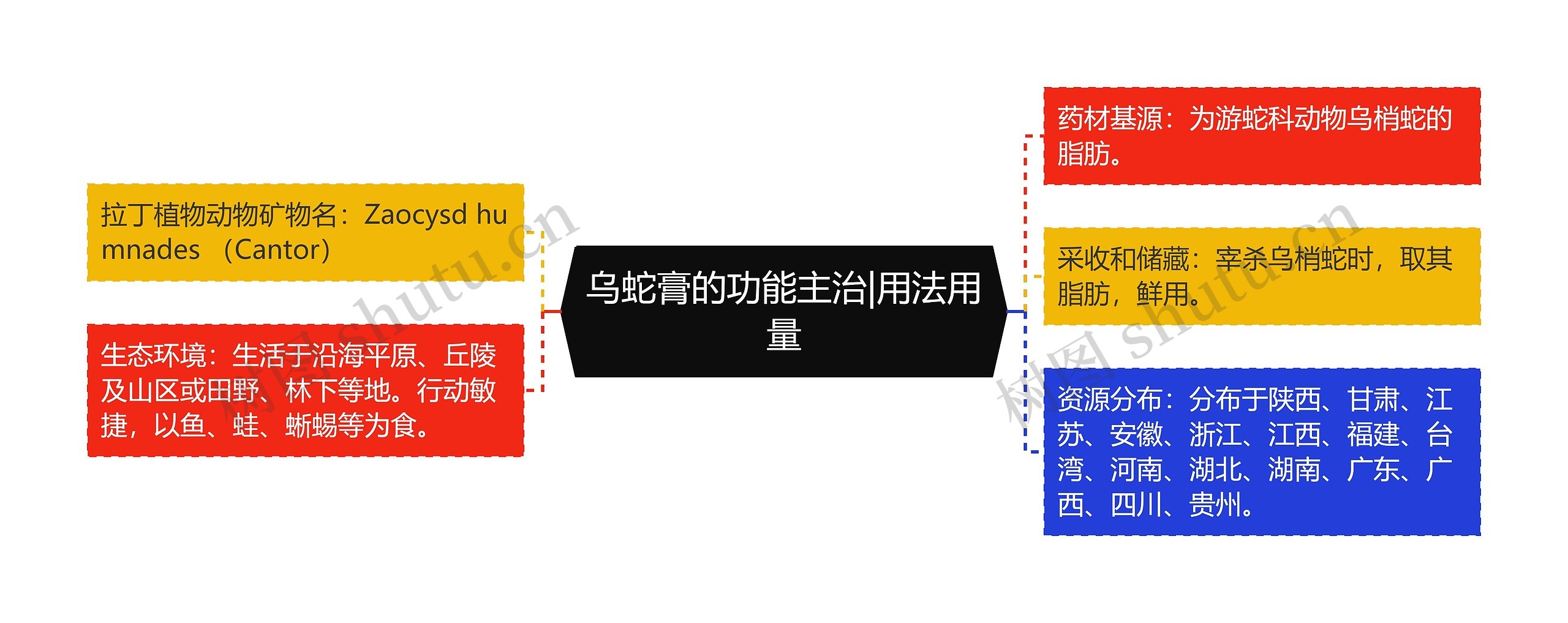 乌蛇膏的功能主治|用法用量 乌蛇膏的功能主治|用法用量