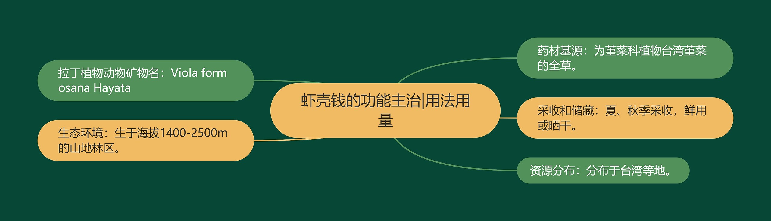 虾壳钱的功能主治|用法用量 虾壳钱的功能主治|用法用量