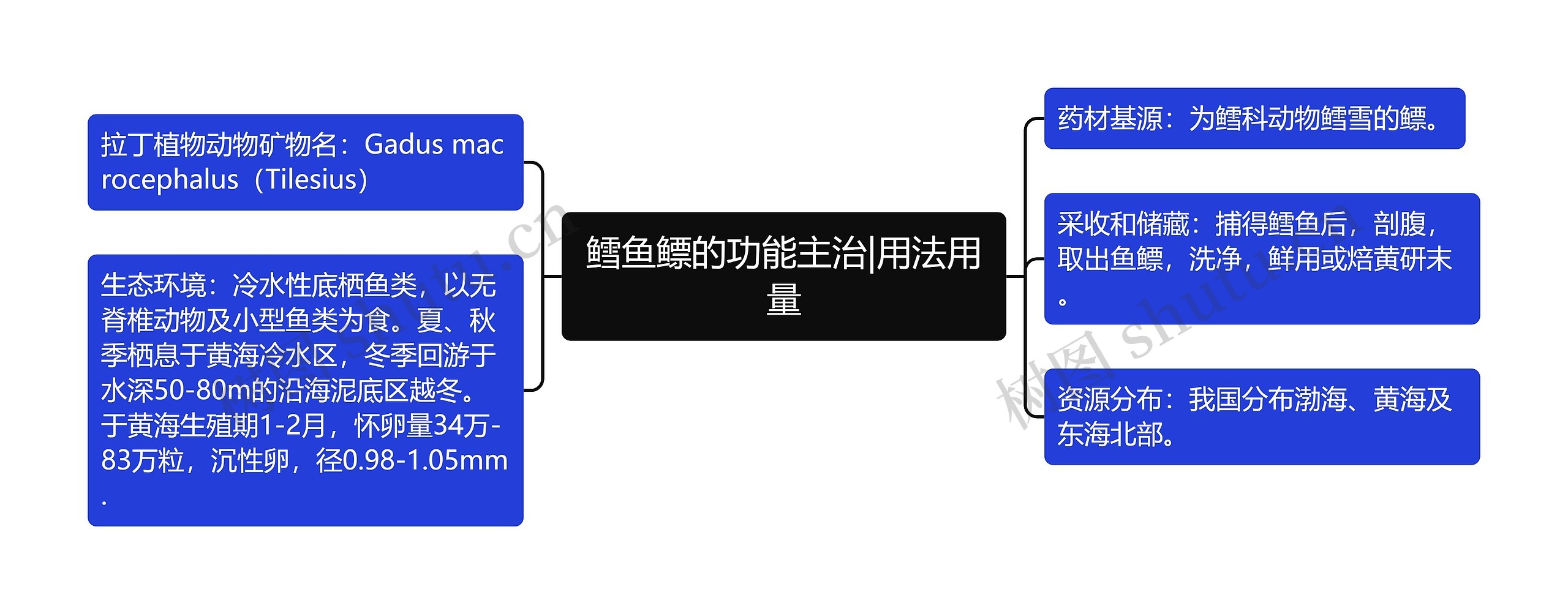 鳕鱼鳔的功能主治|用法用量