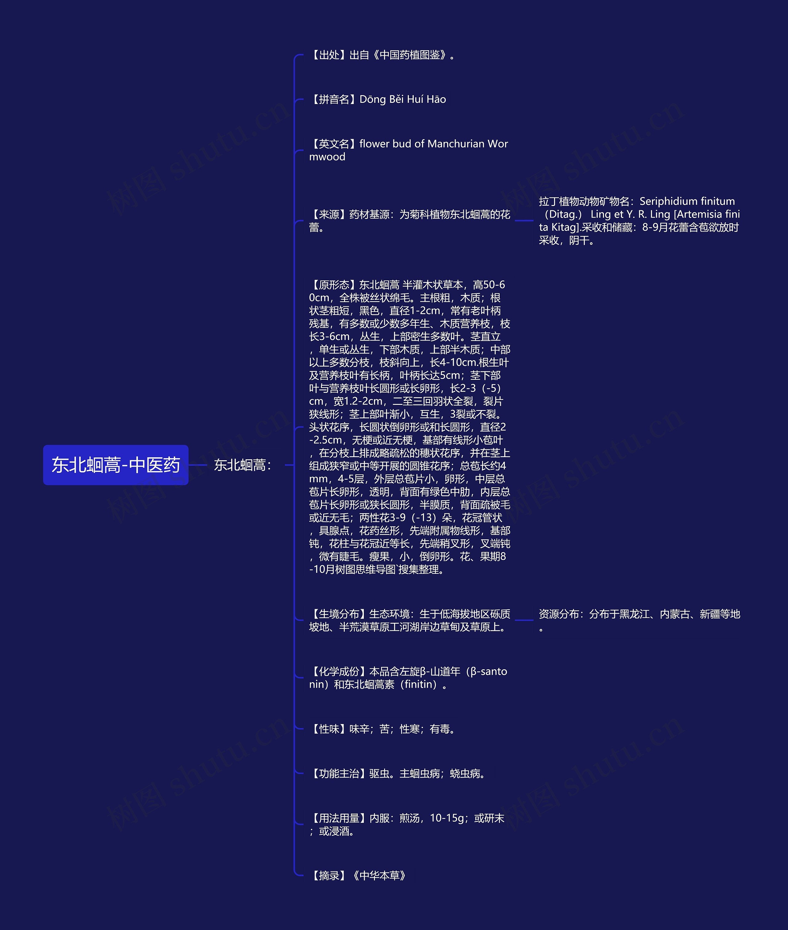 东北蛔蒿-中医药 东北蛔蒿-中医药