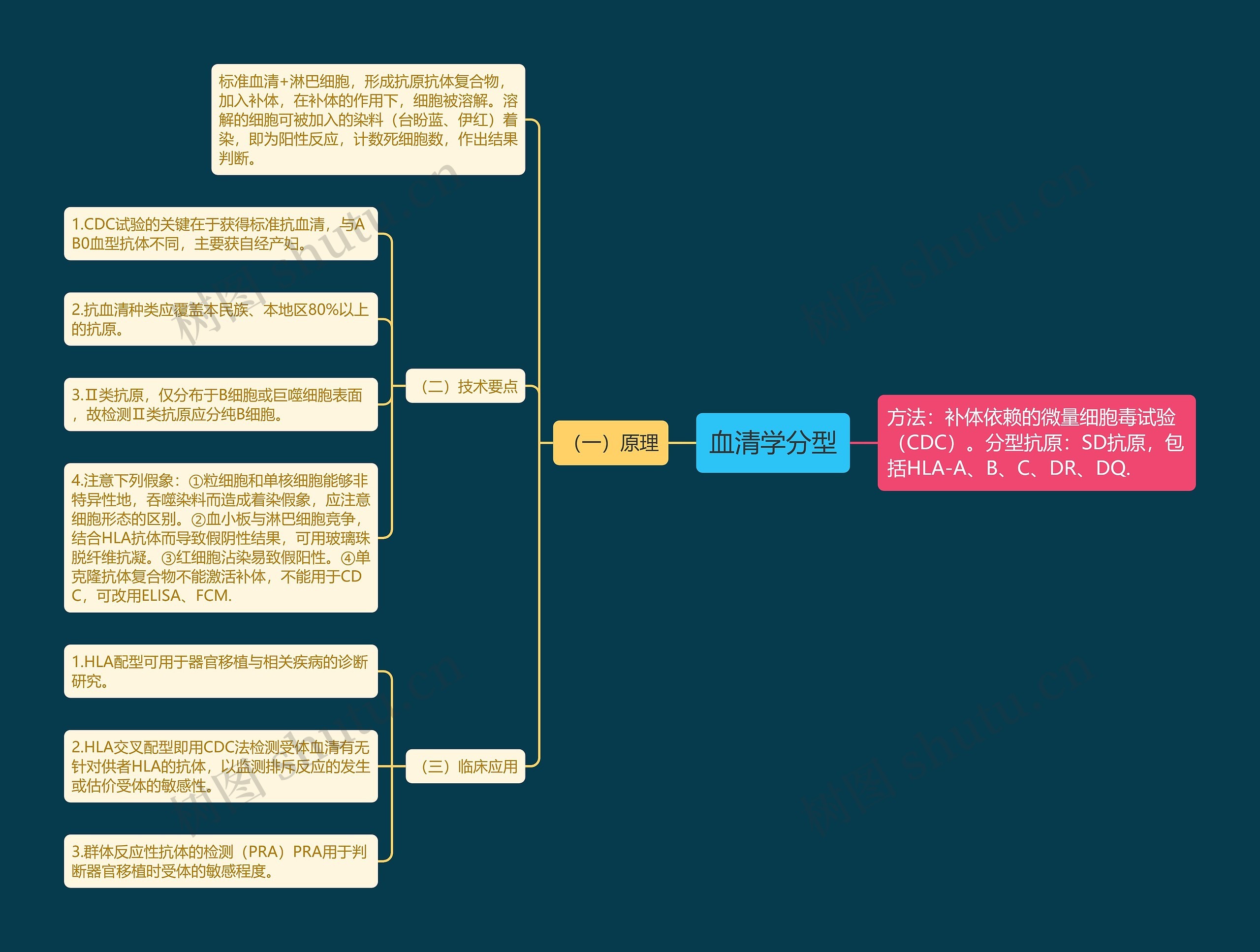 血清学分型思维导图