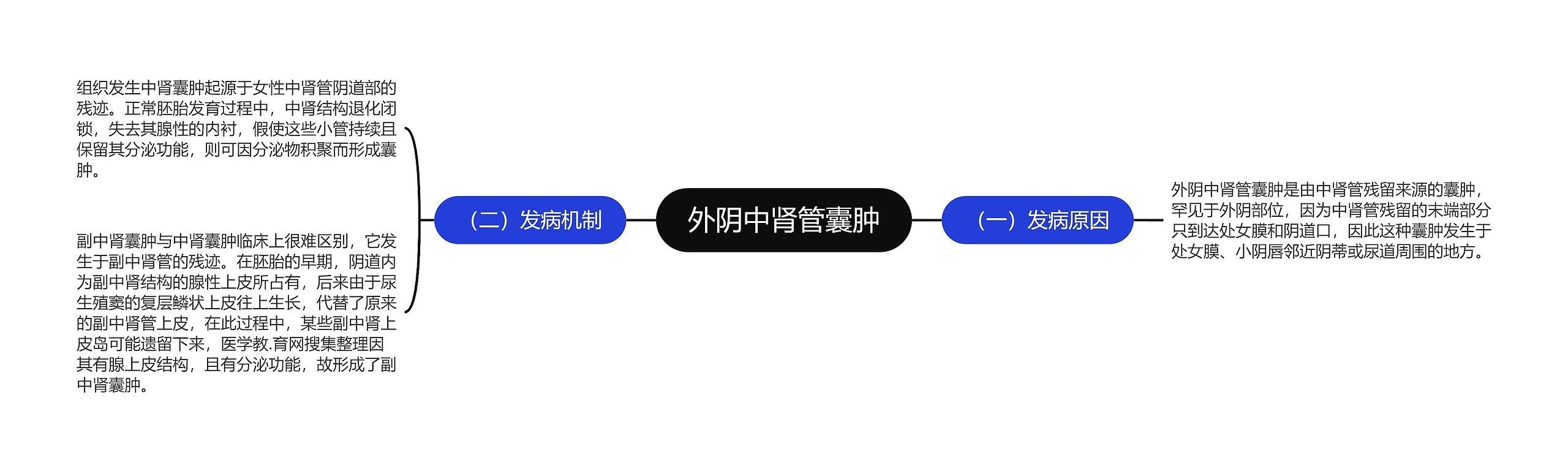 外阴中肾管囊肿思维导图