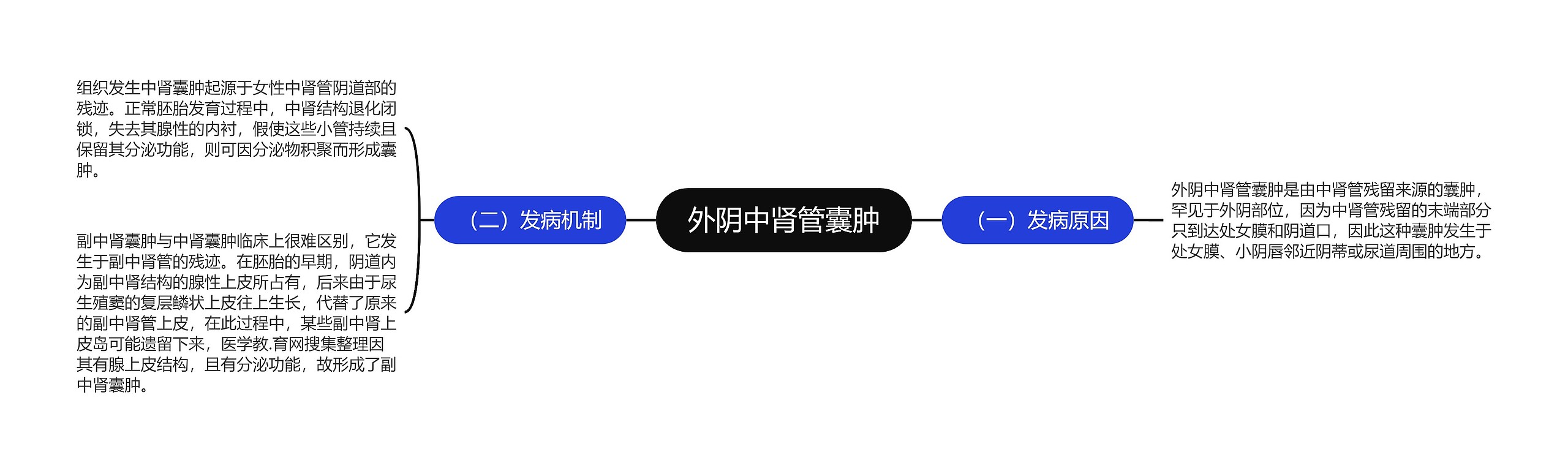 外阴中肾管囊肿 外阴中肾管囊肿