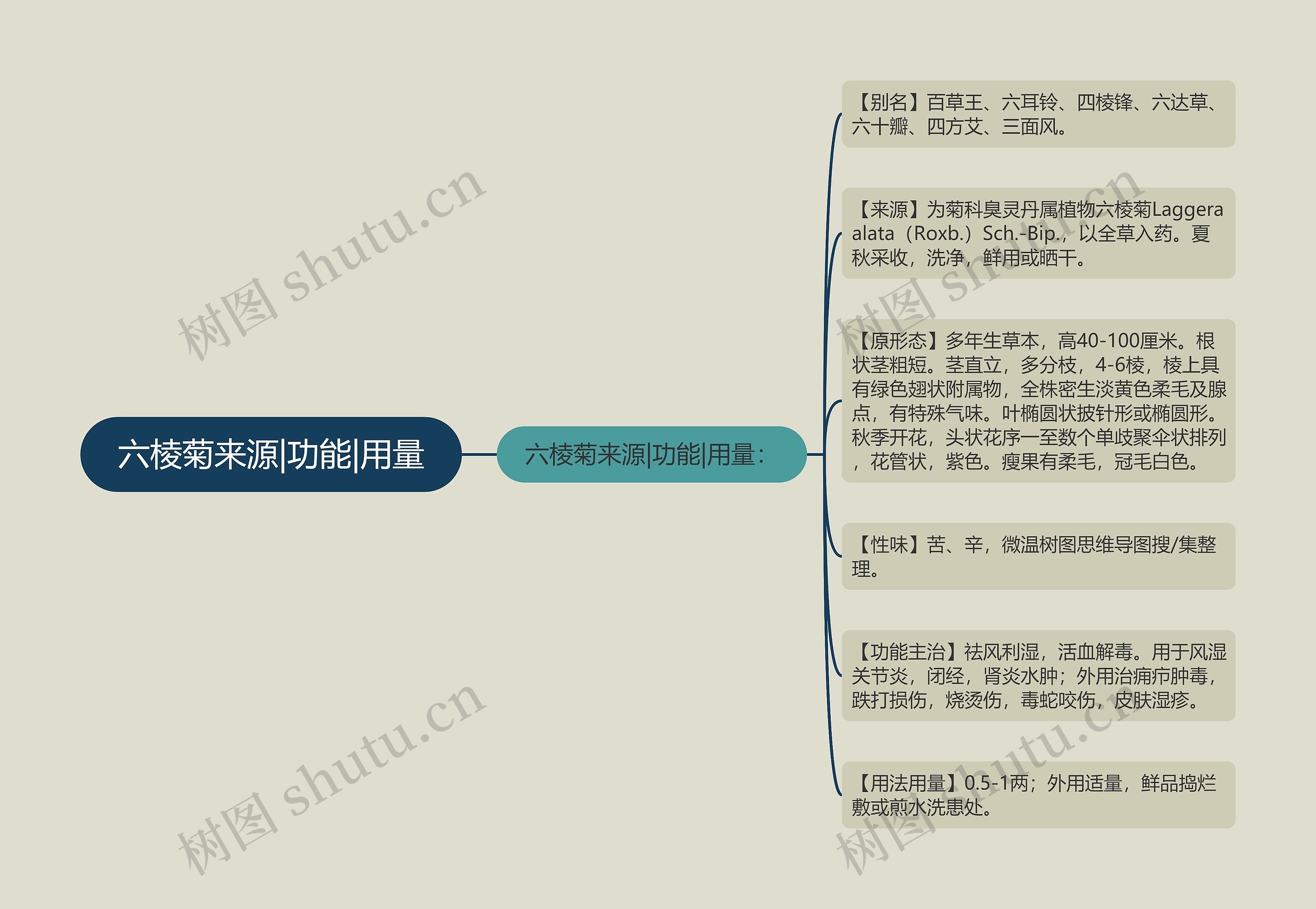 六棱菊来源|功能|用量