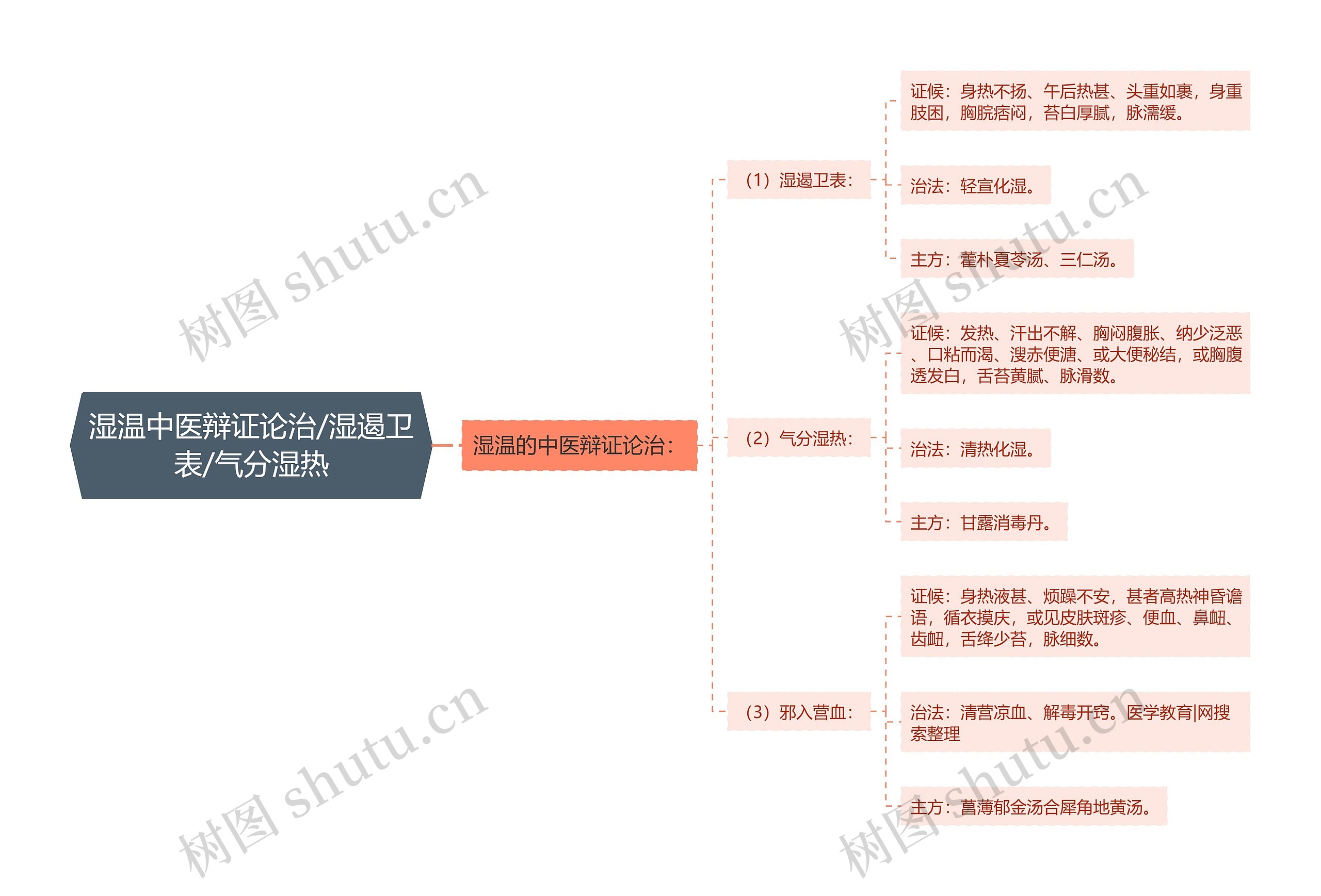 湿温中医辩证论治/湿遏卫表/气分湿热思维导图