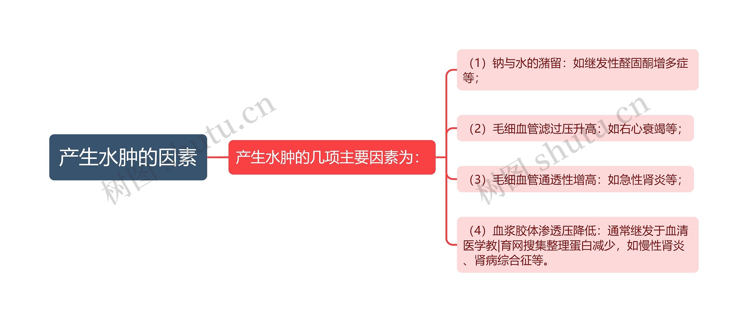 产生水肿的因素思维导图