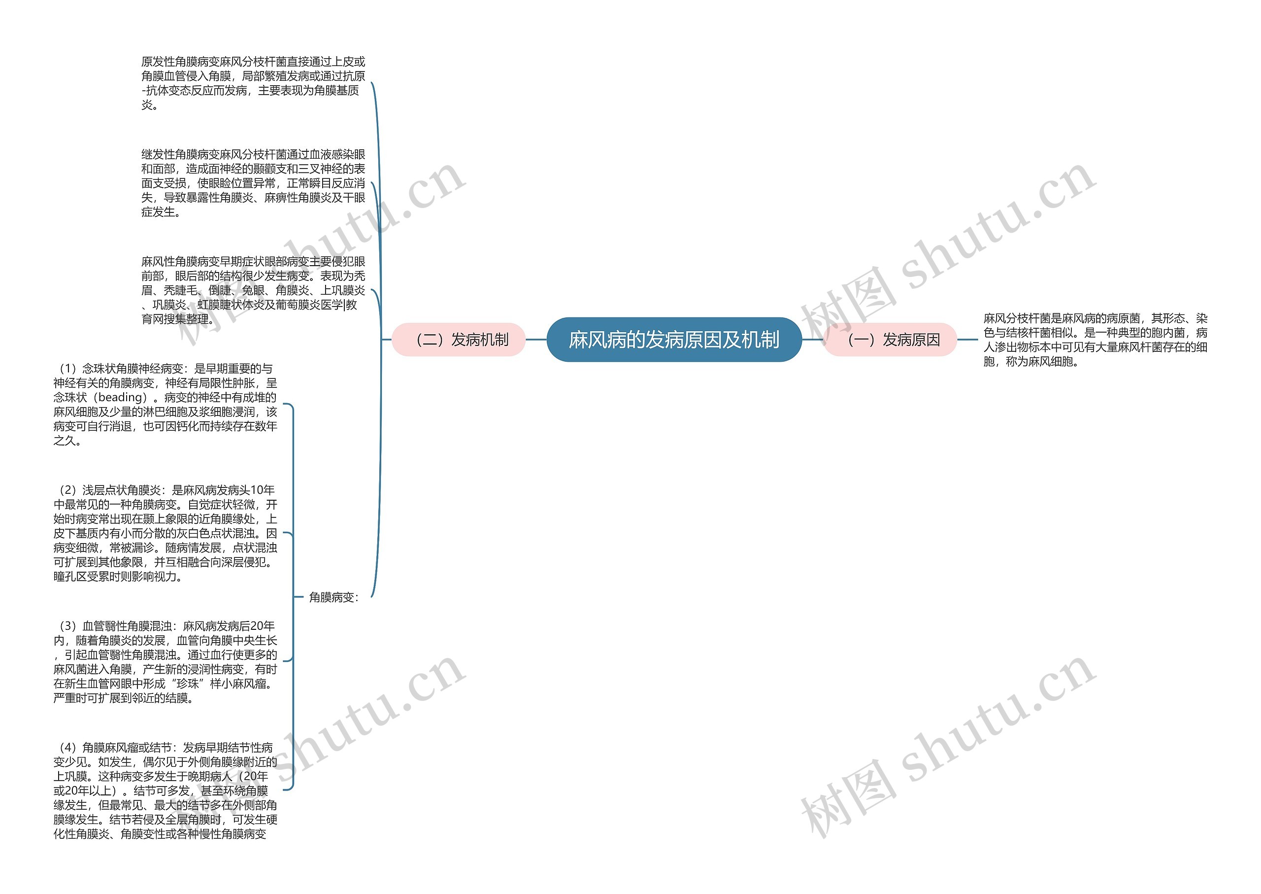 麻风病的发病原因及机制思维导图