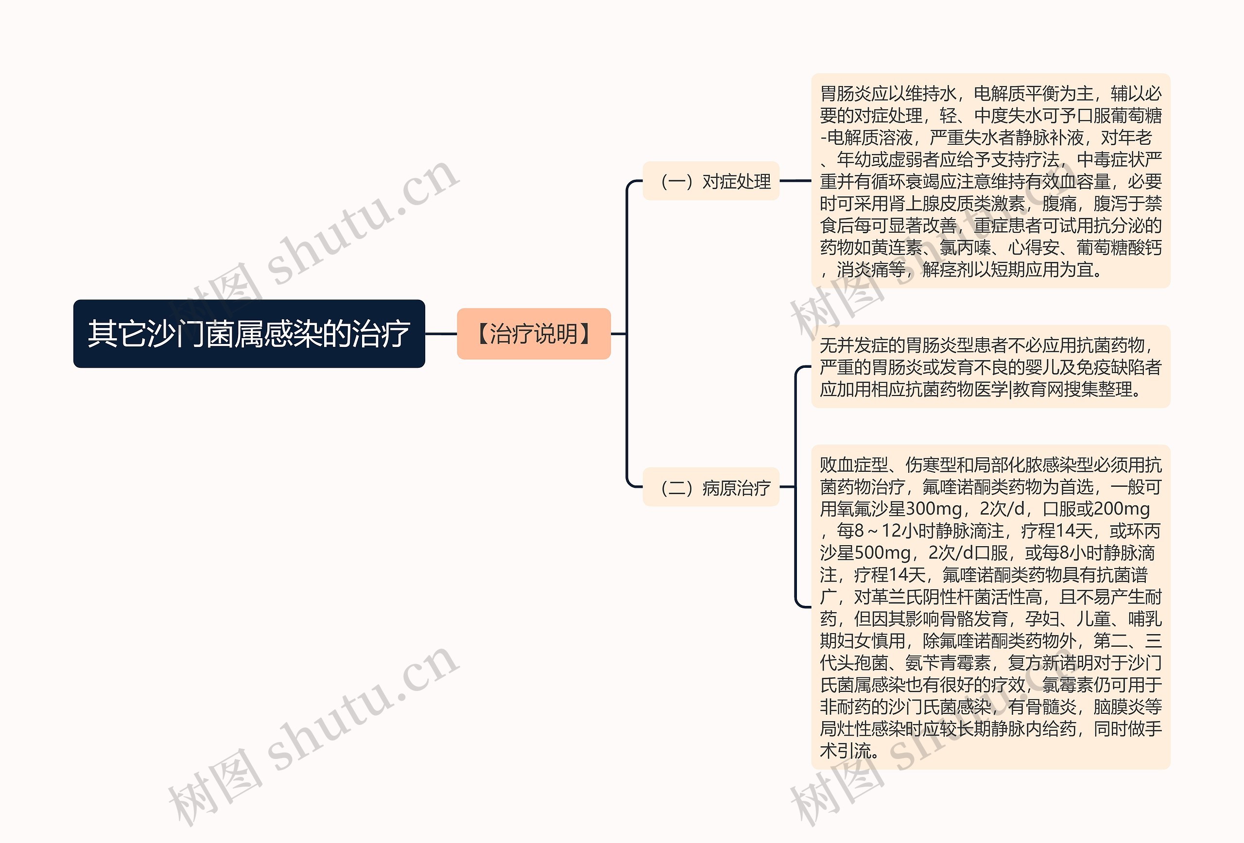 其它沙门菌属感染的治疗思维导图