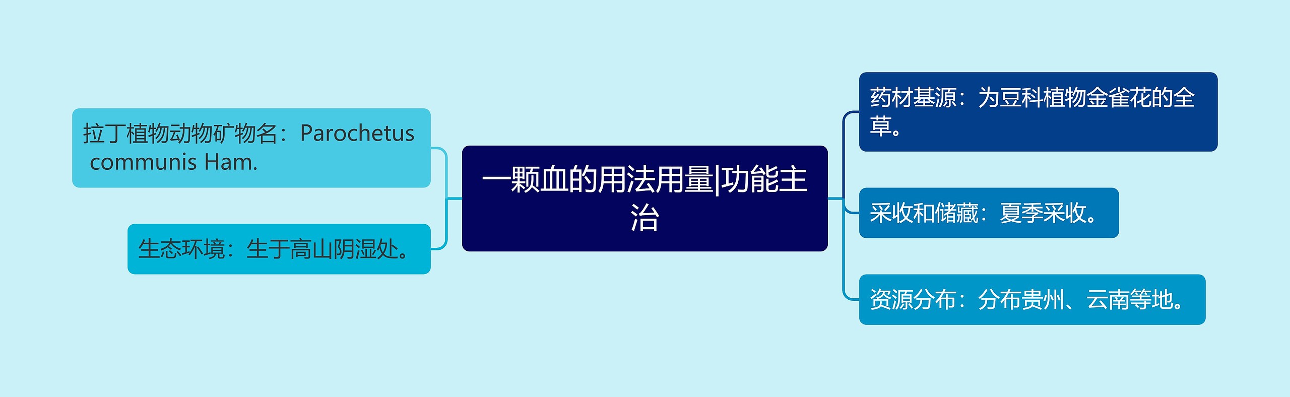 一颗血的用法用量|功能主治思维导图