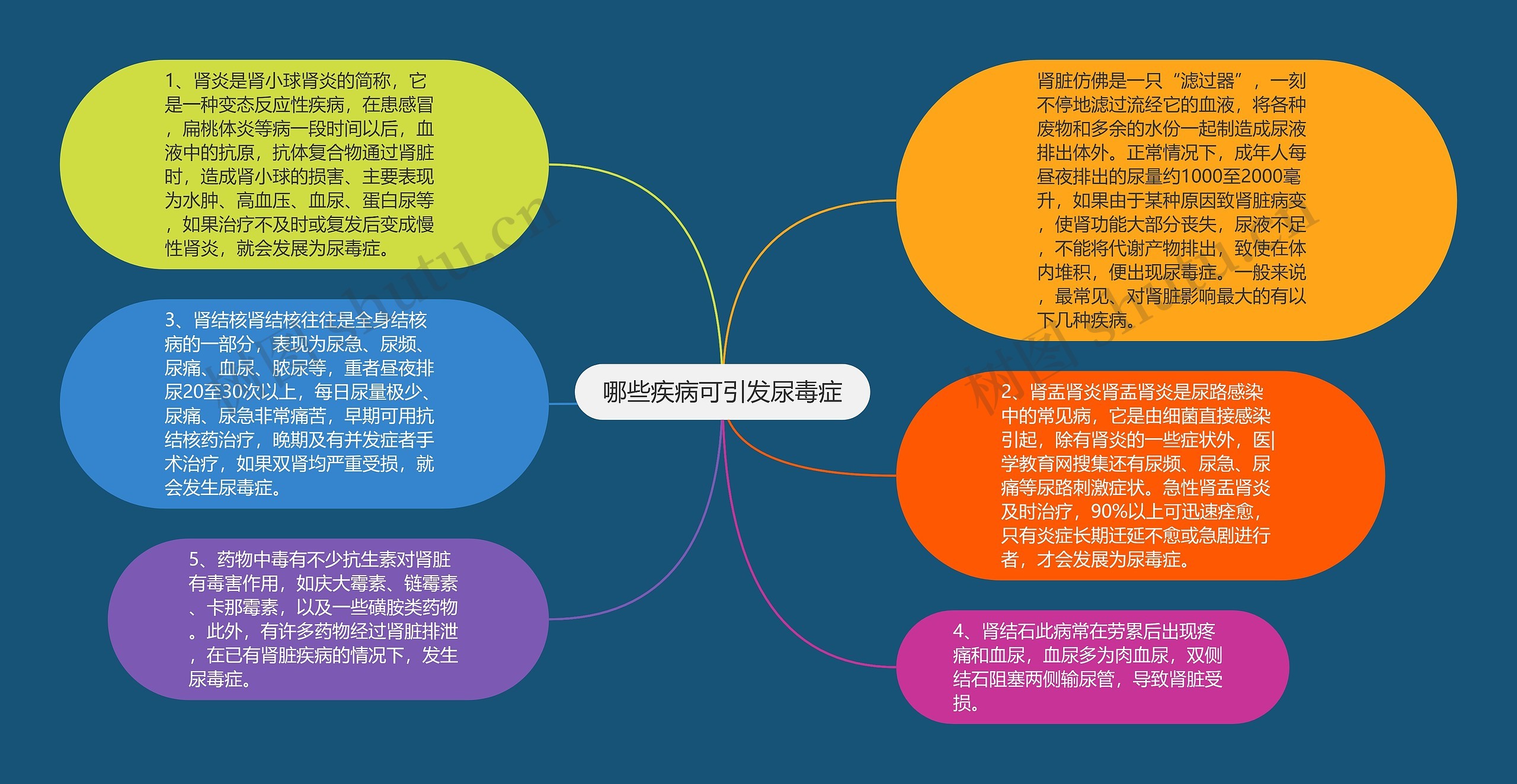 哪些疾病可引发尿毒症思维导图