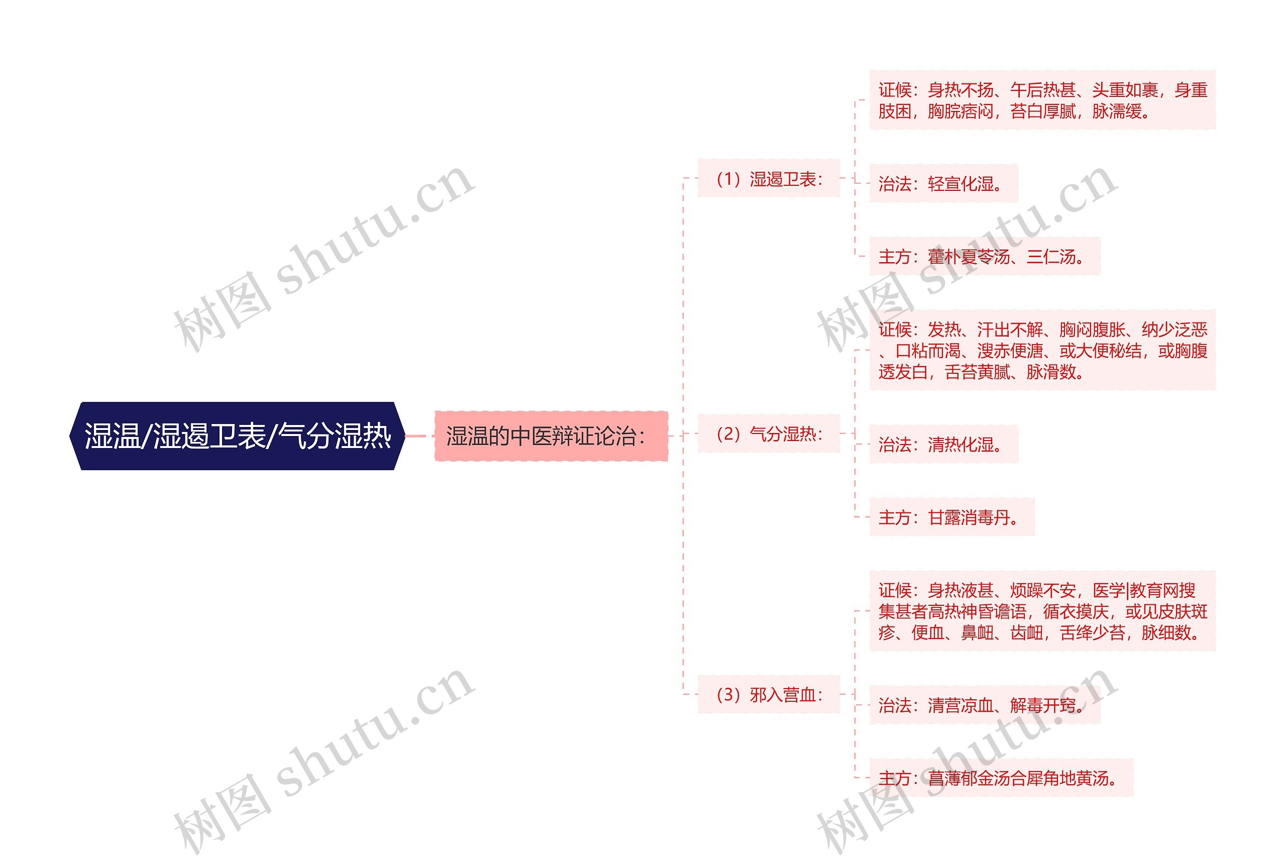 湿温/湿遏卫表/气分湿热思维导图