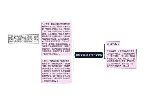 妊娠期母体子宫的变化