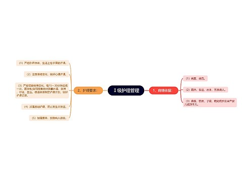 Ⅰ级护理管理