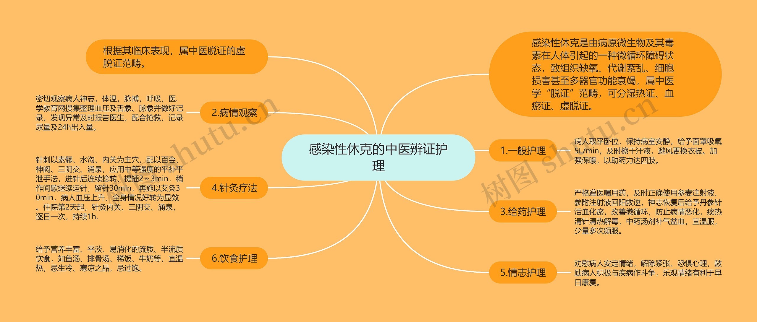 感染性休克的中医辨证护理思维导图