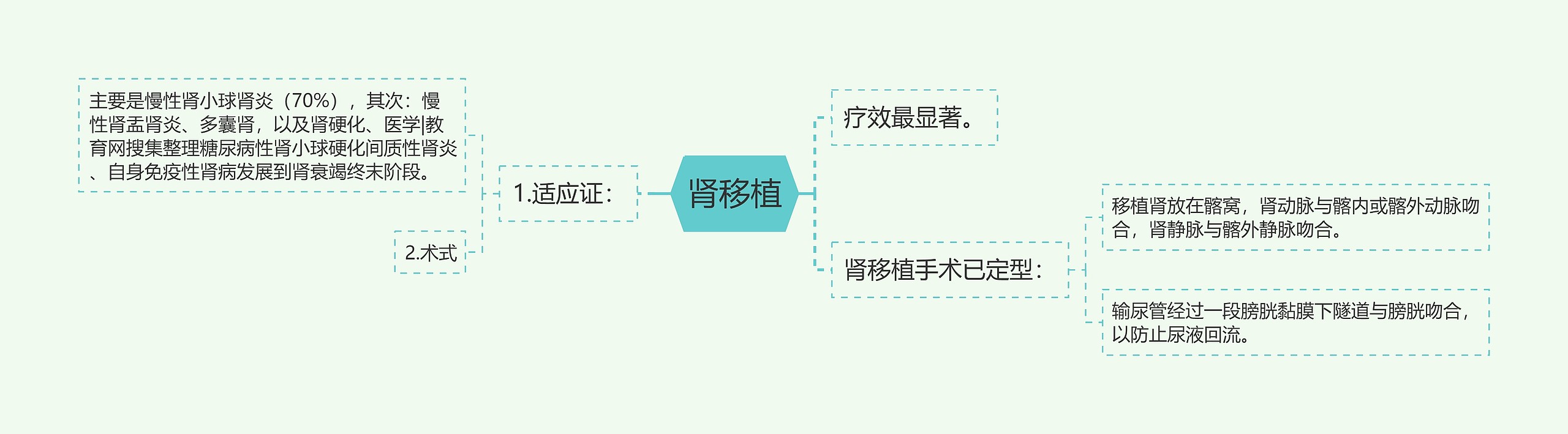 肾移植思维导图