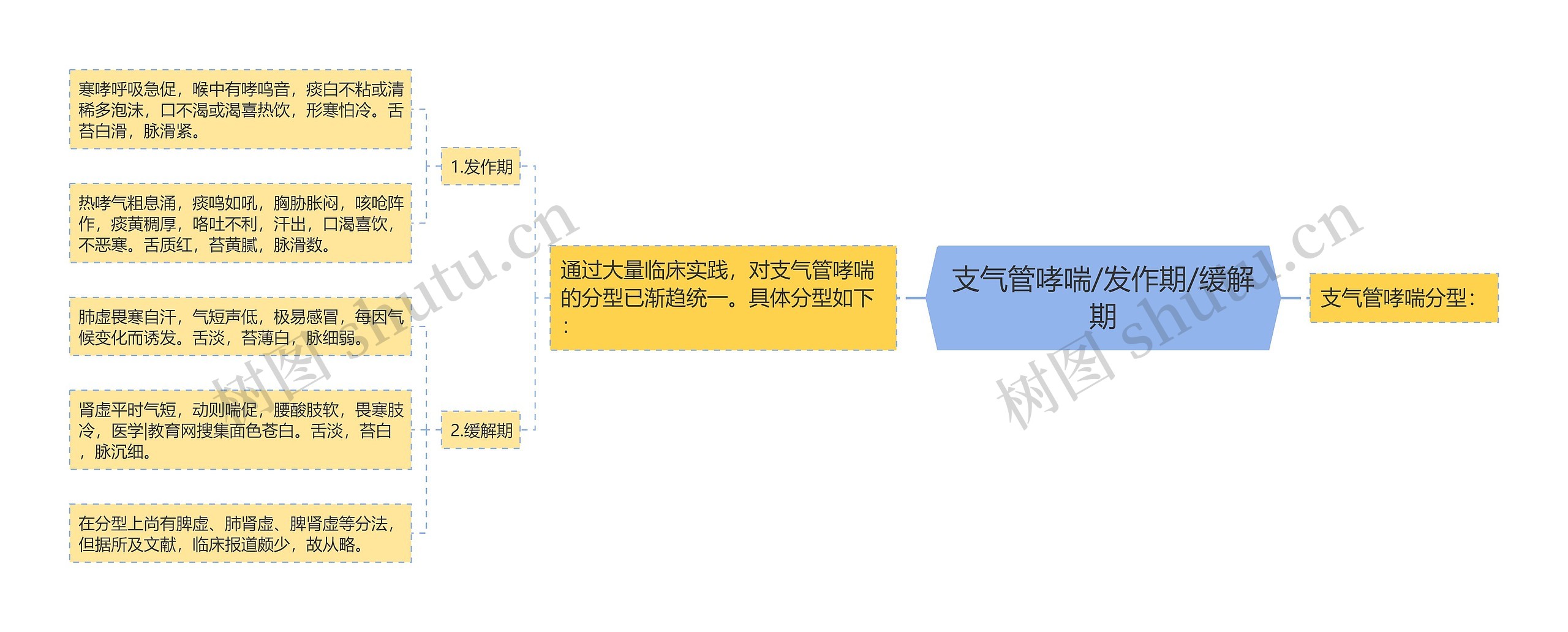 支气管哮喘/发作期/缓解期思维导图