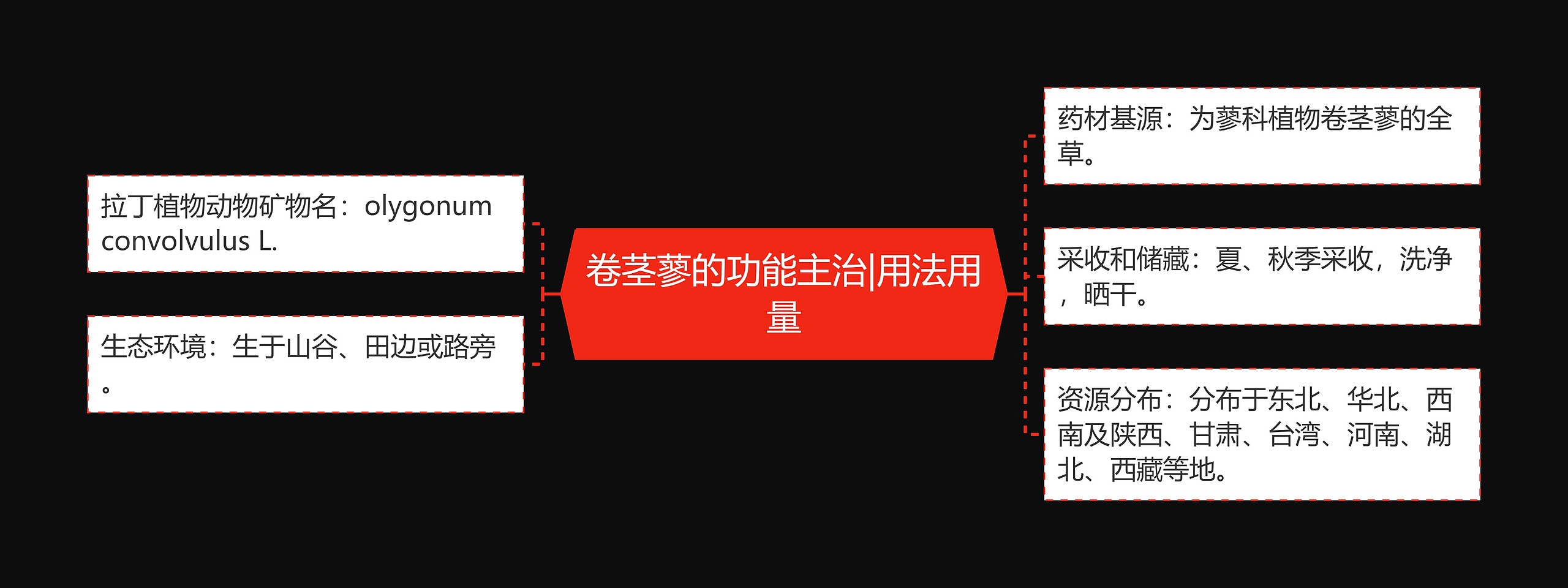 卷茎蓼的功能主治|用法用量思维导图