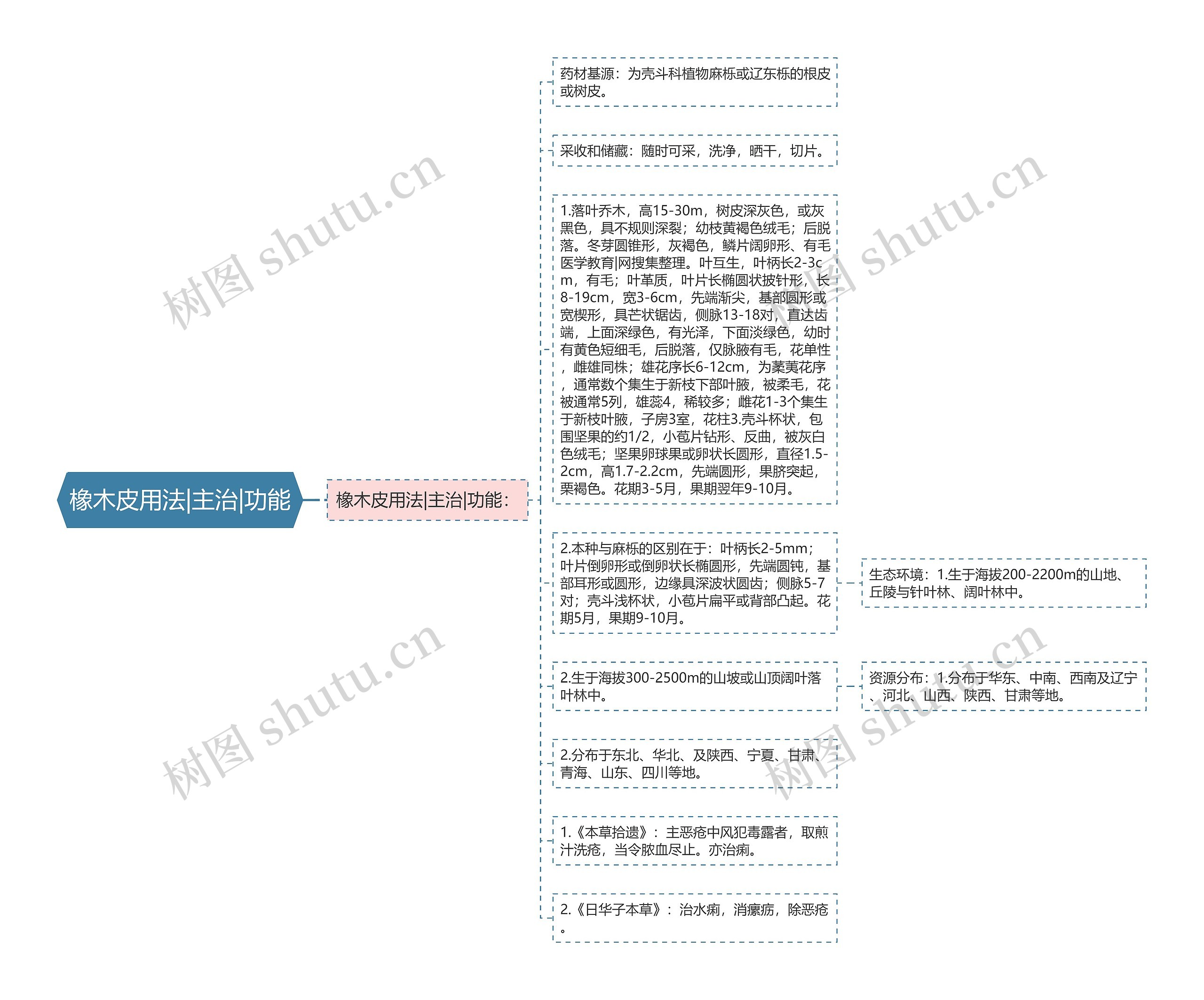 橡木皮用法|主治|功能思维导图