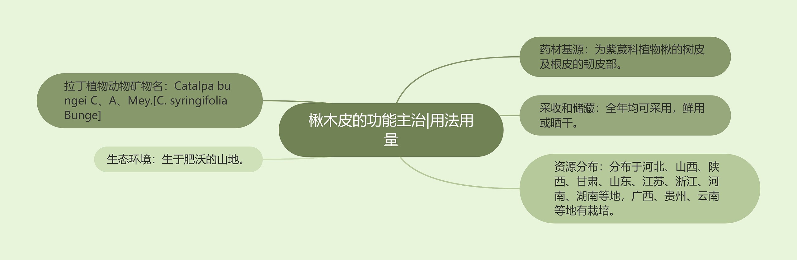 楸木皮的功能主治|用法用量 楸木皮的功能主治|用法用量