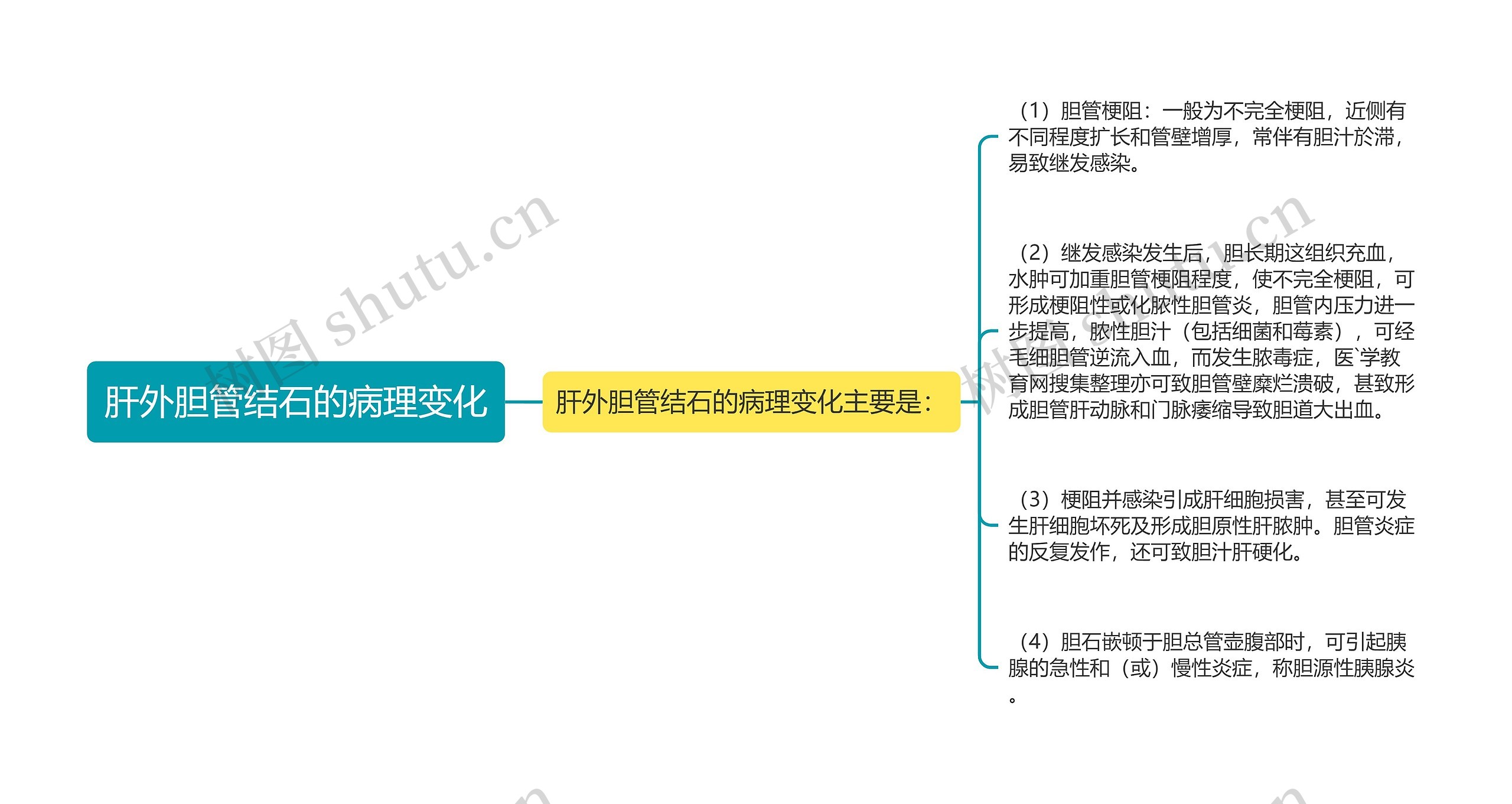 肝外胆管结石的病理变化思维导图