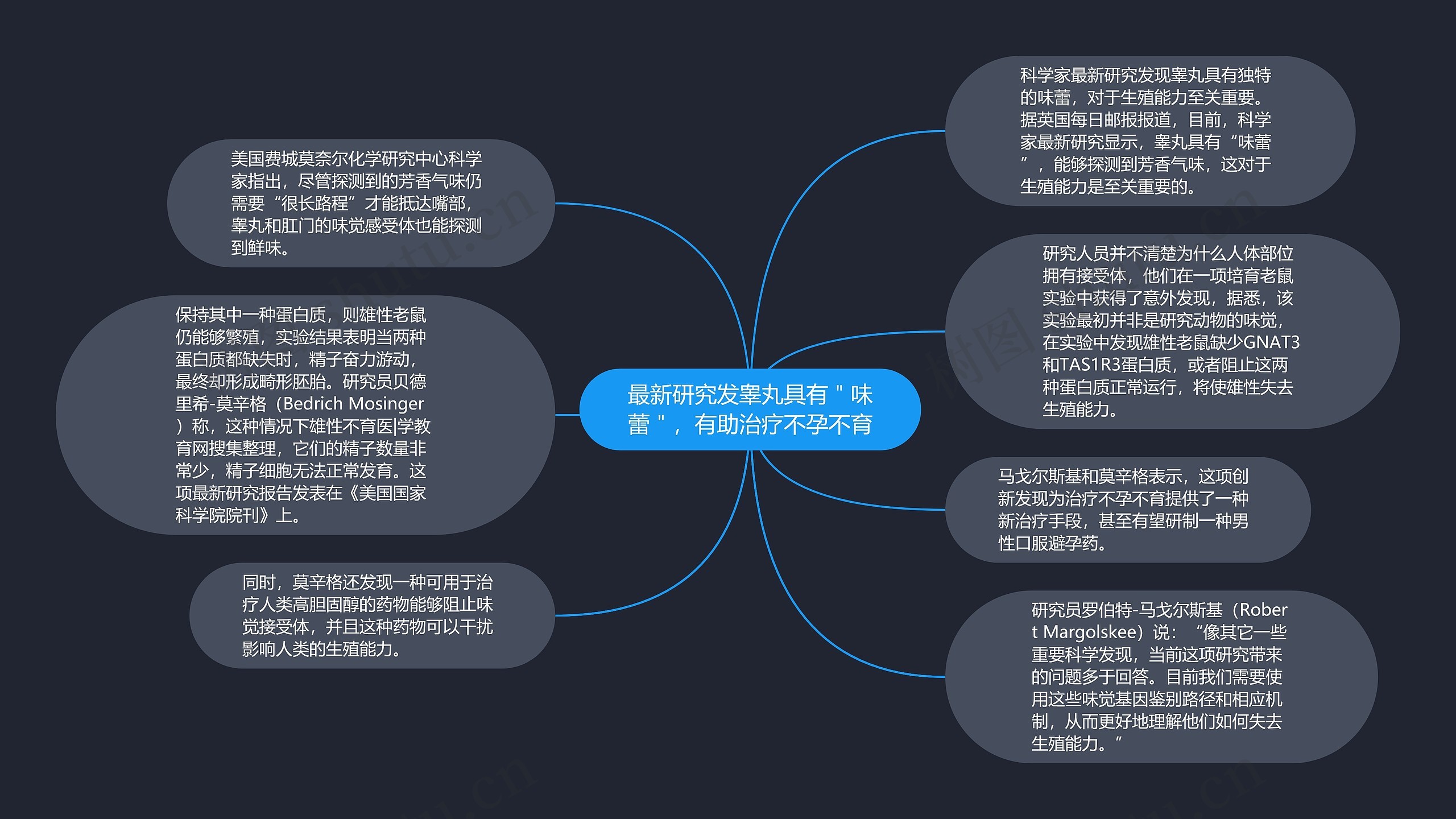 最新研究发睾丸具有＂味蕾＂，有助治疗不孕不育思维导图