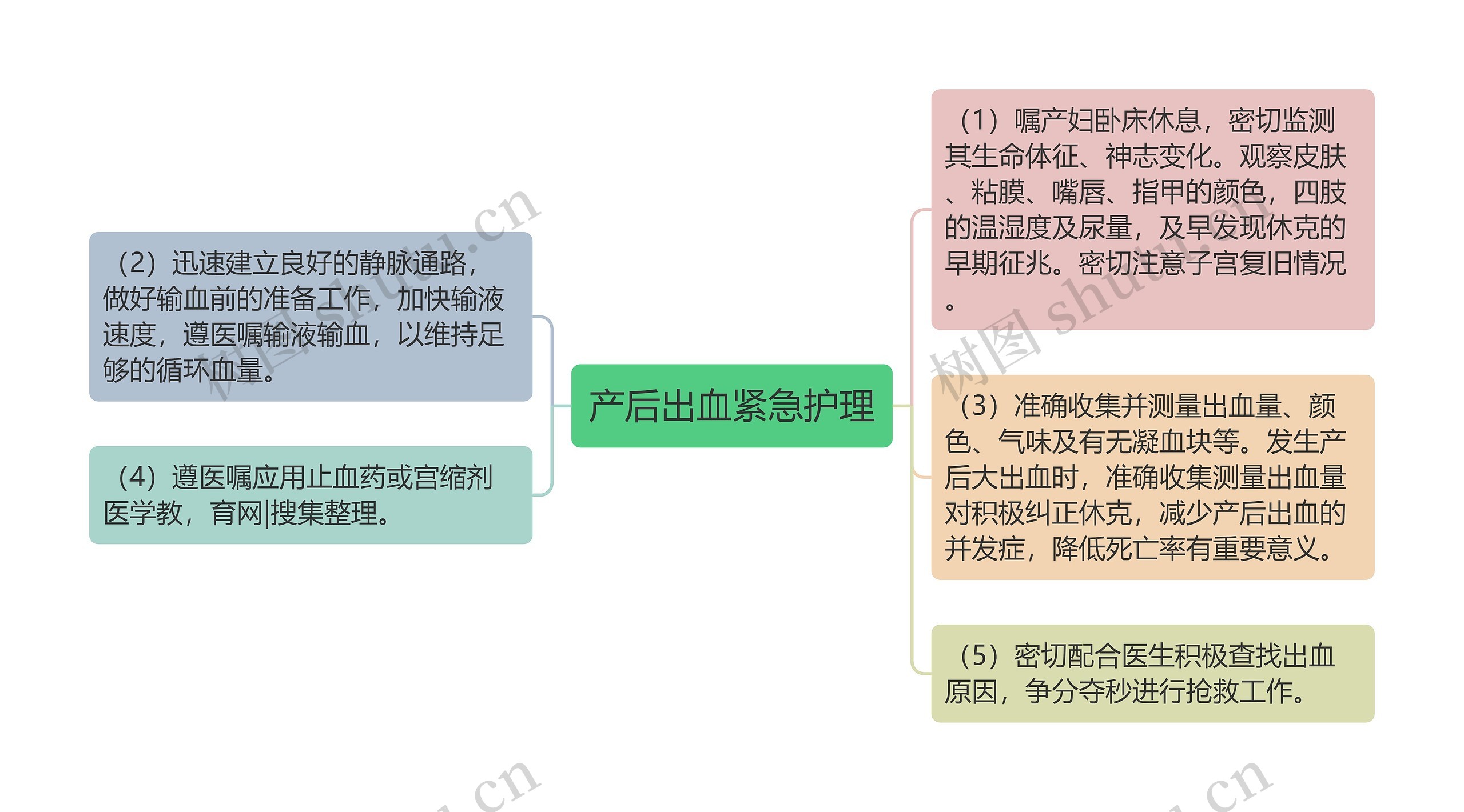 产后出血紧急护理思维导图