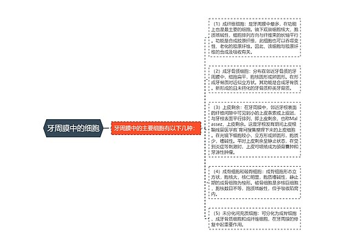 牙周膜中的细胞