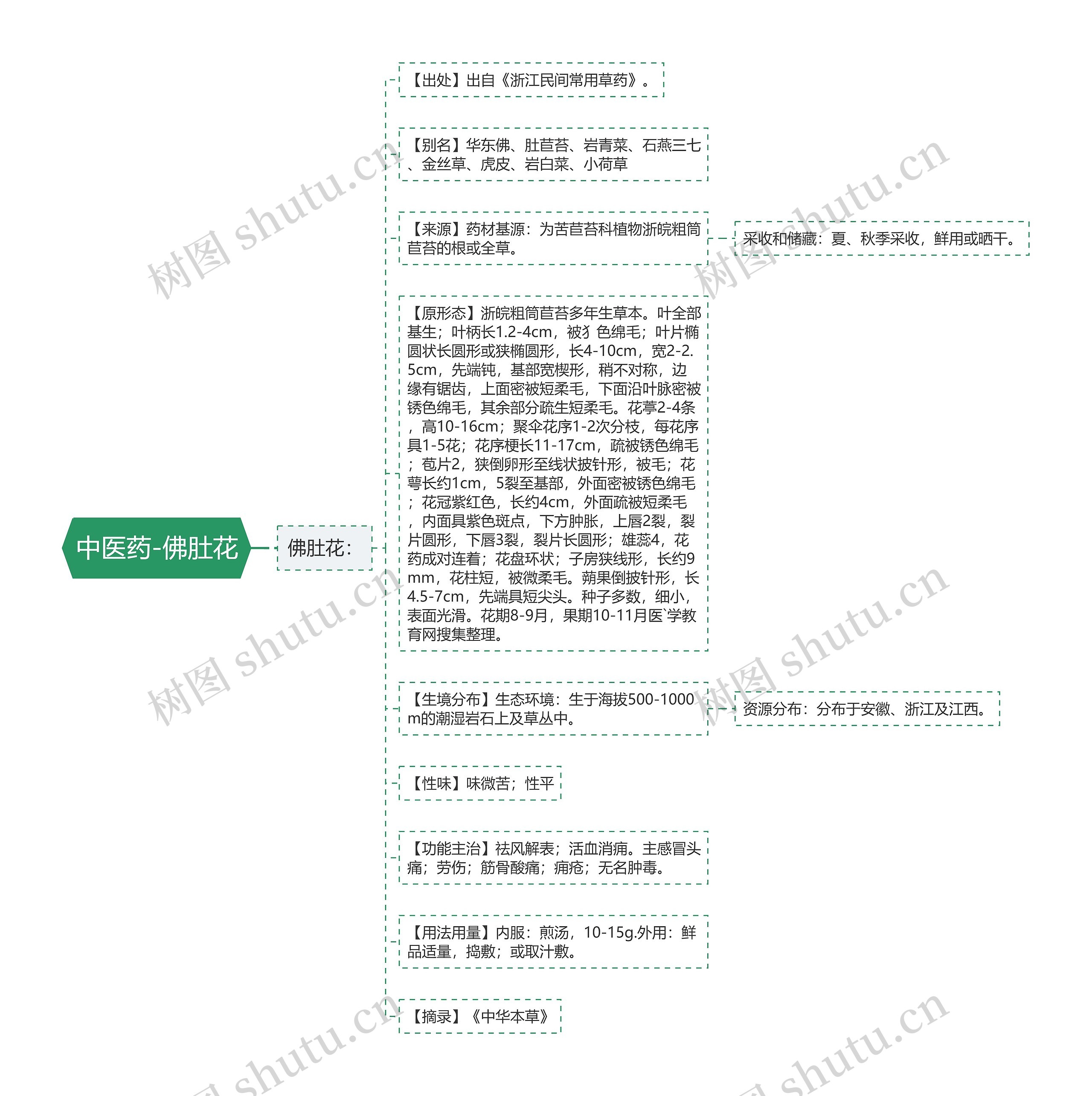 中医药-佛肚花思维导图