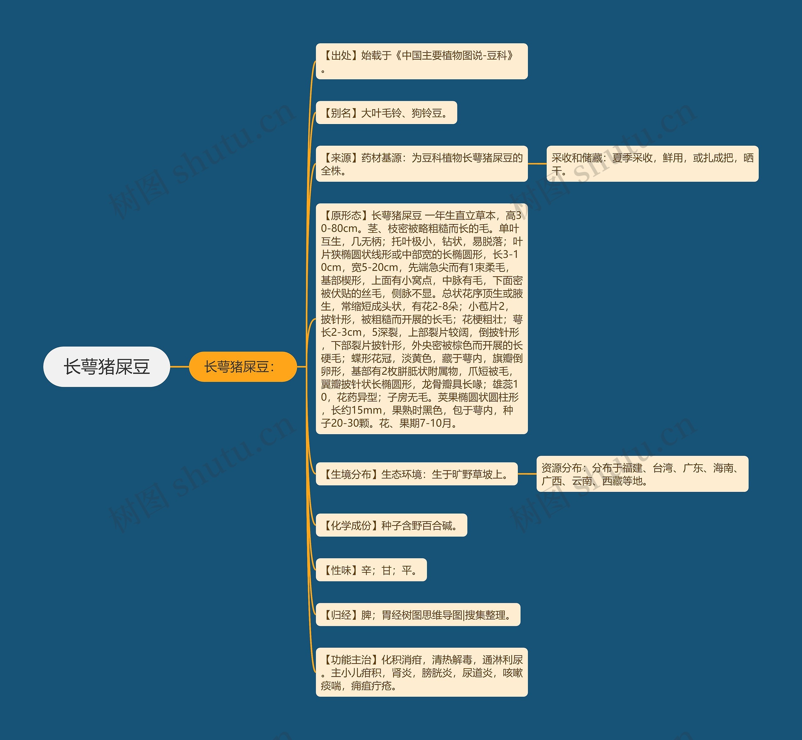 长萼猪屎豆思维导图