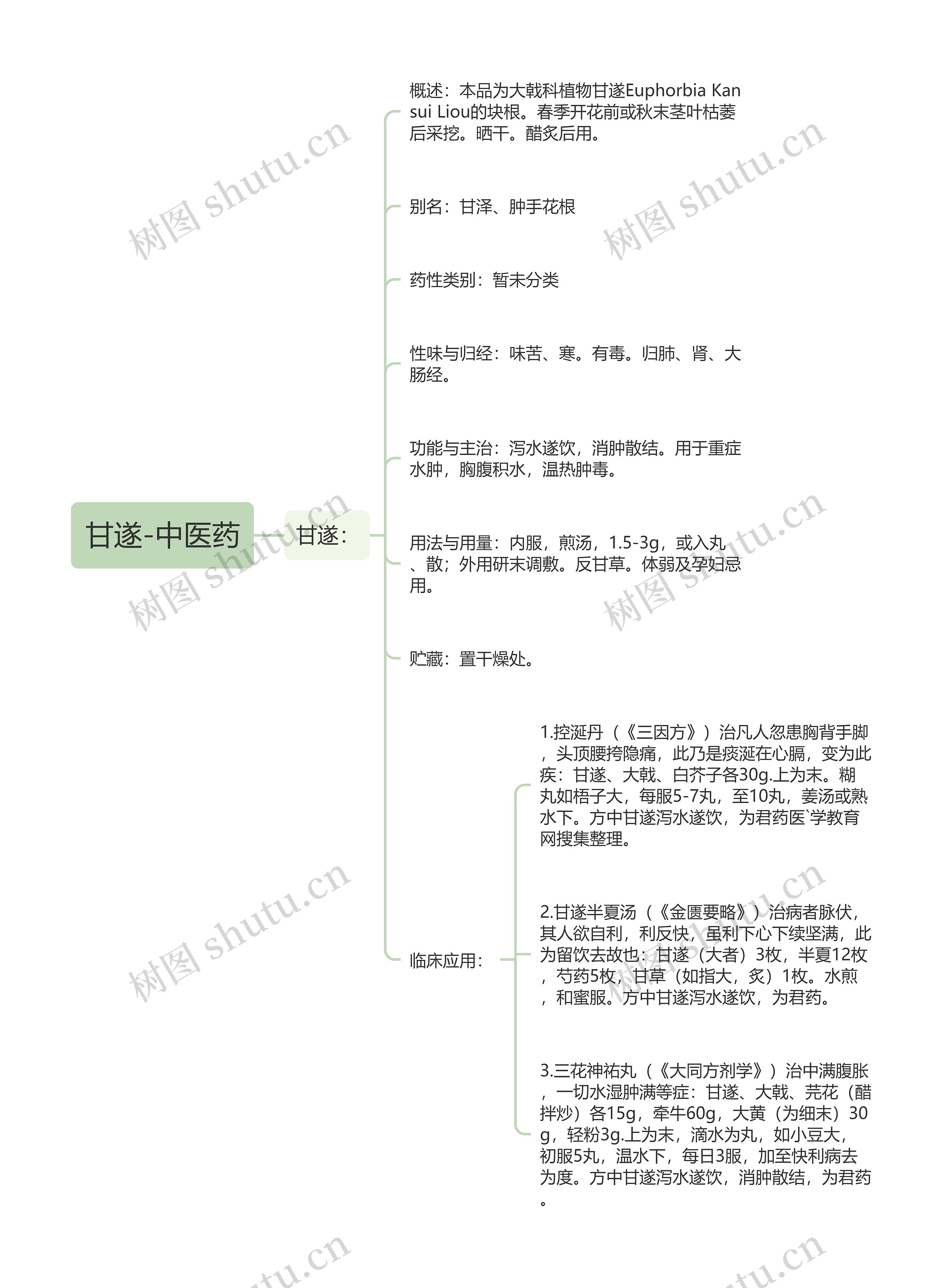 甘遂-中医药 甘遂-中医药