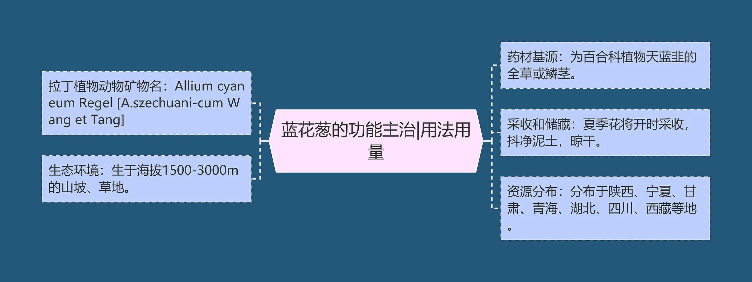 蓝花葱的功能主治|用法用量