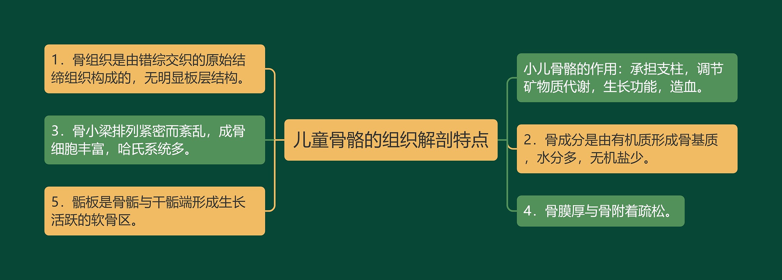 儿童骨骼的组织解剖特点思维导图