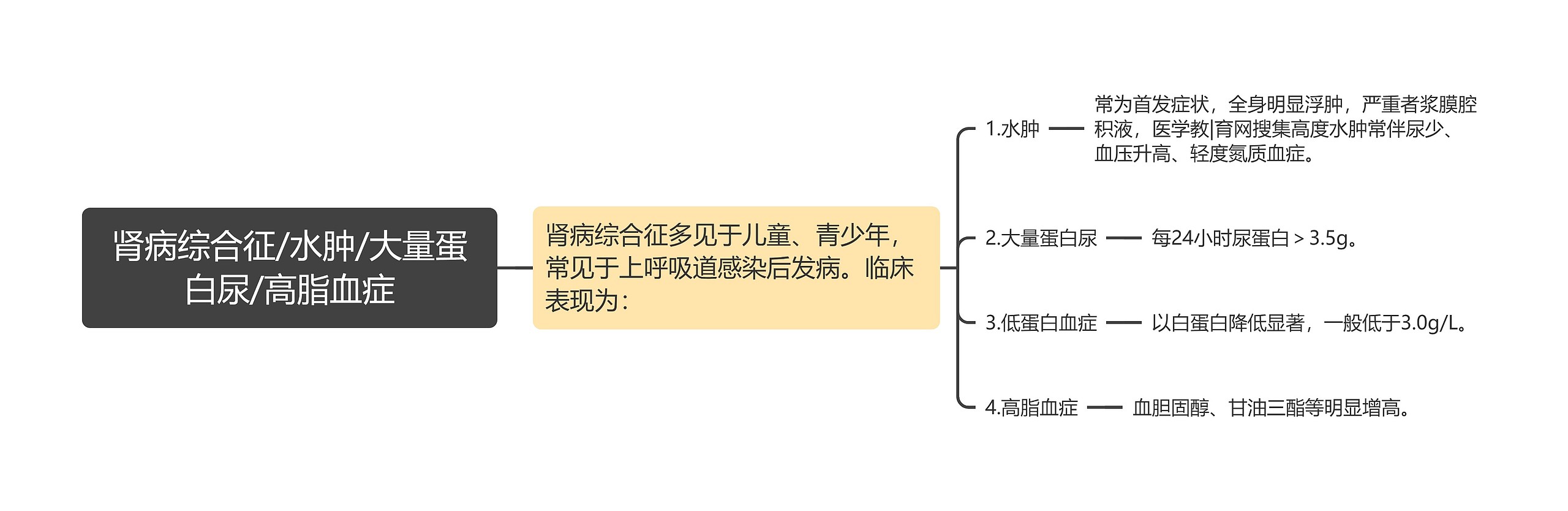 肾病综合征/水肿/大量蛋白尿/高脂血症思维导图