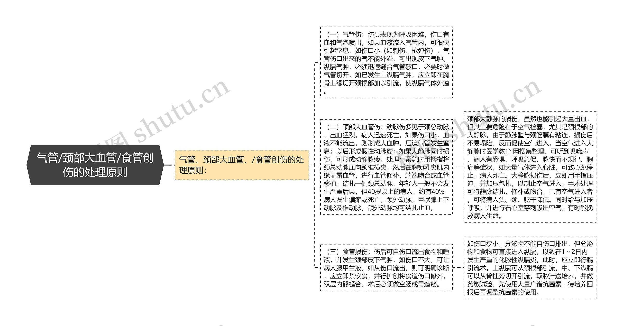 气管/颈部大血管/食管创伤的处理原则思维导图