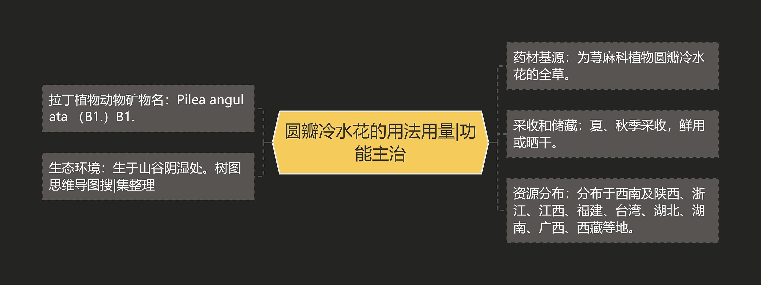 圆瓣冷水花的用法用量|功能主治