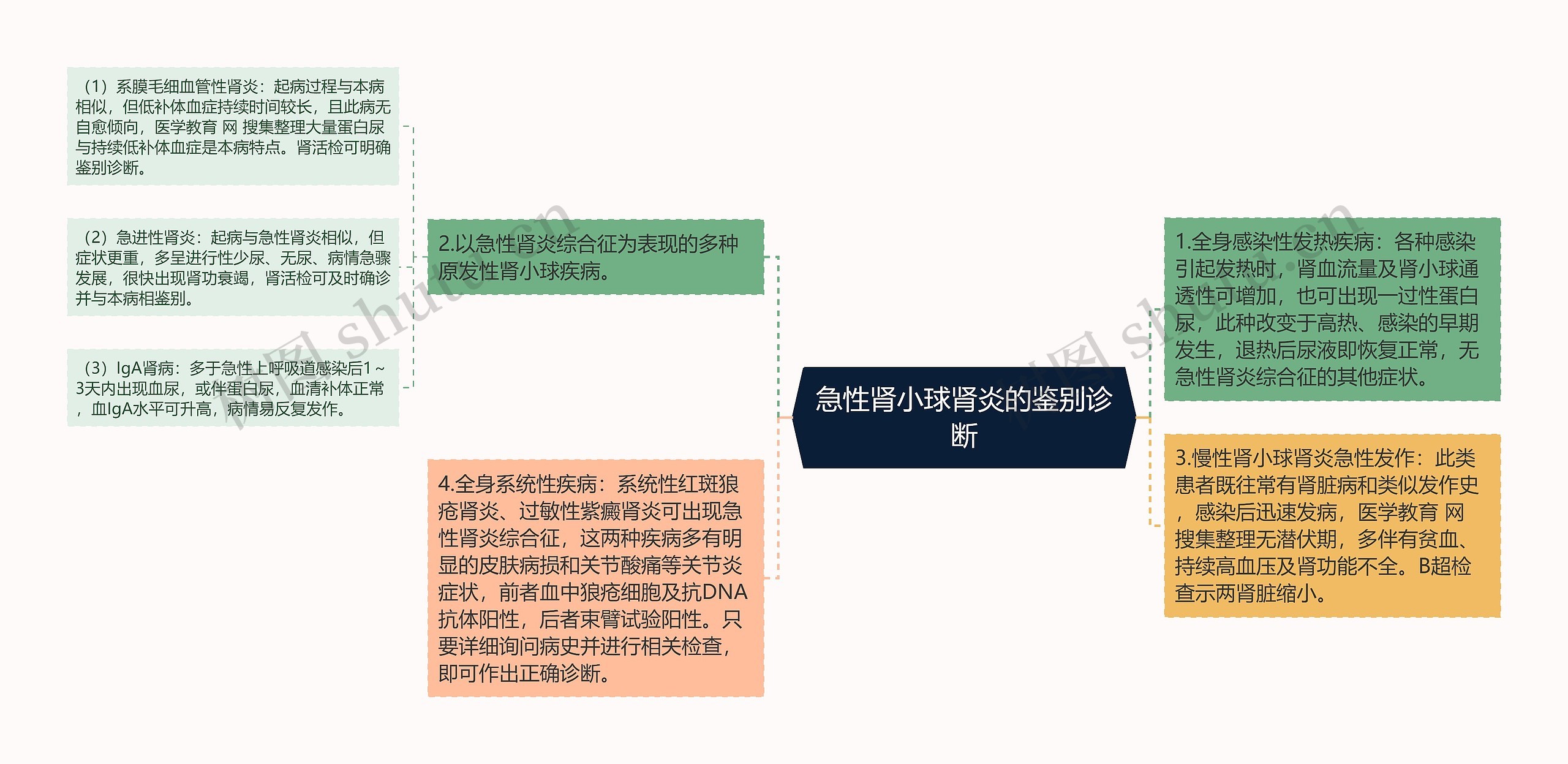 急性肾小球肾炎的鉴别诊断思维导图