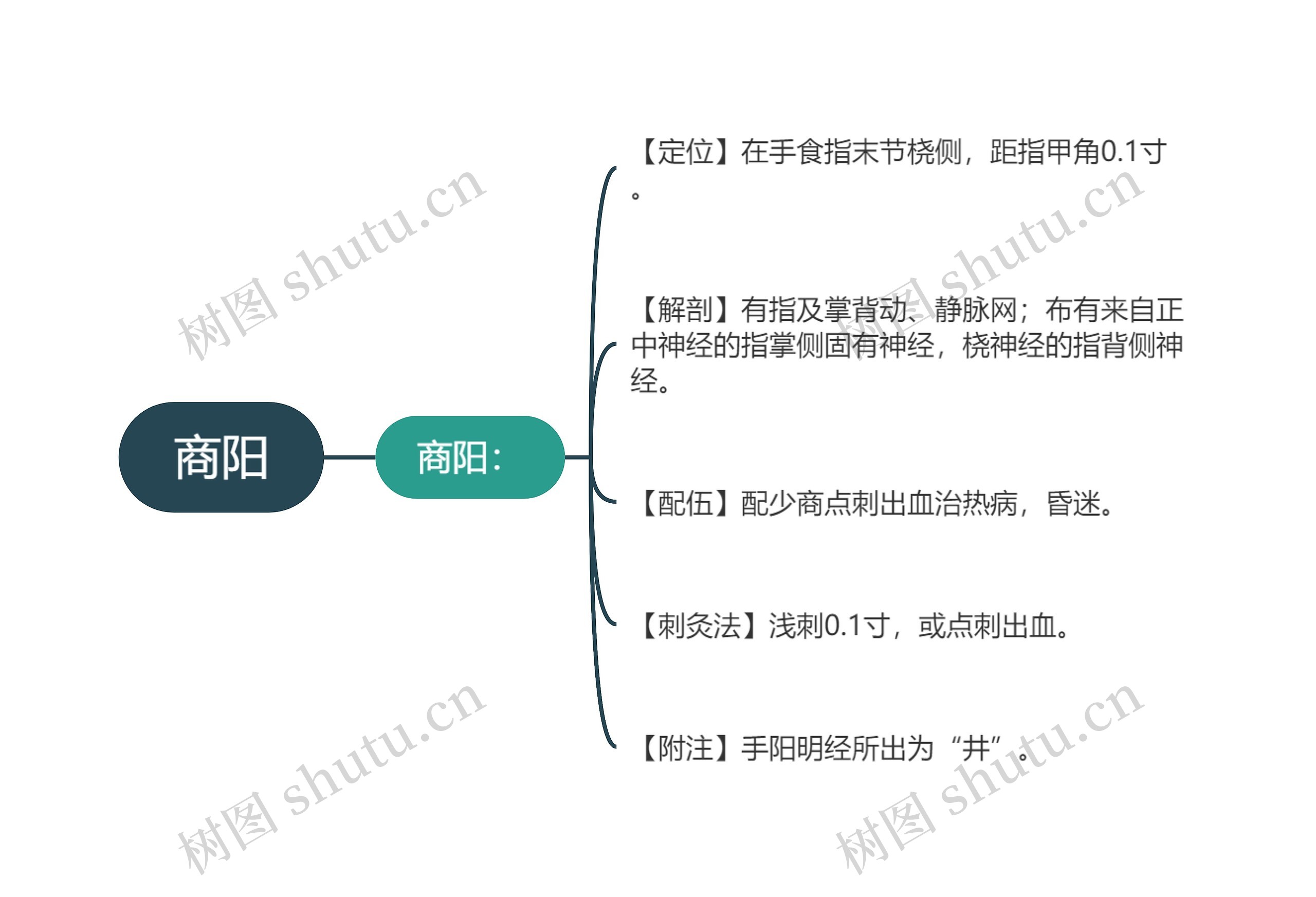 商阳思维导图