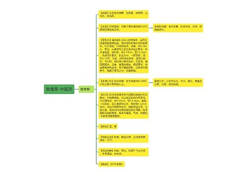 败毒草-中医药