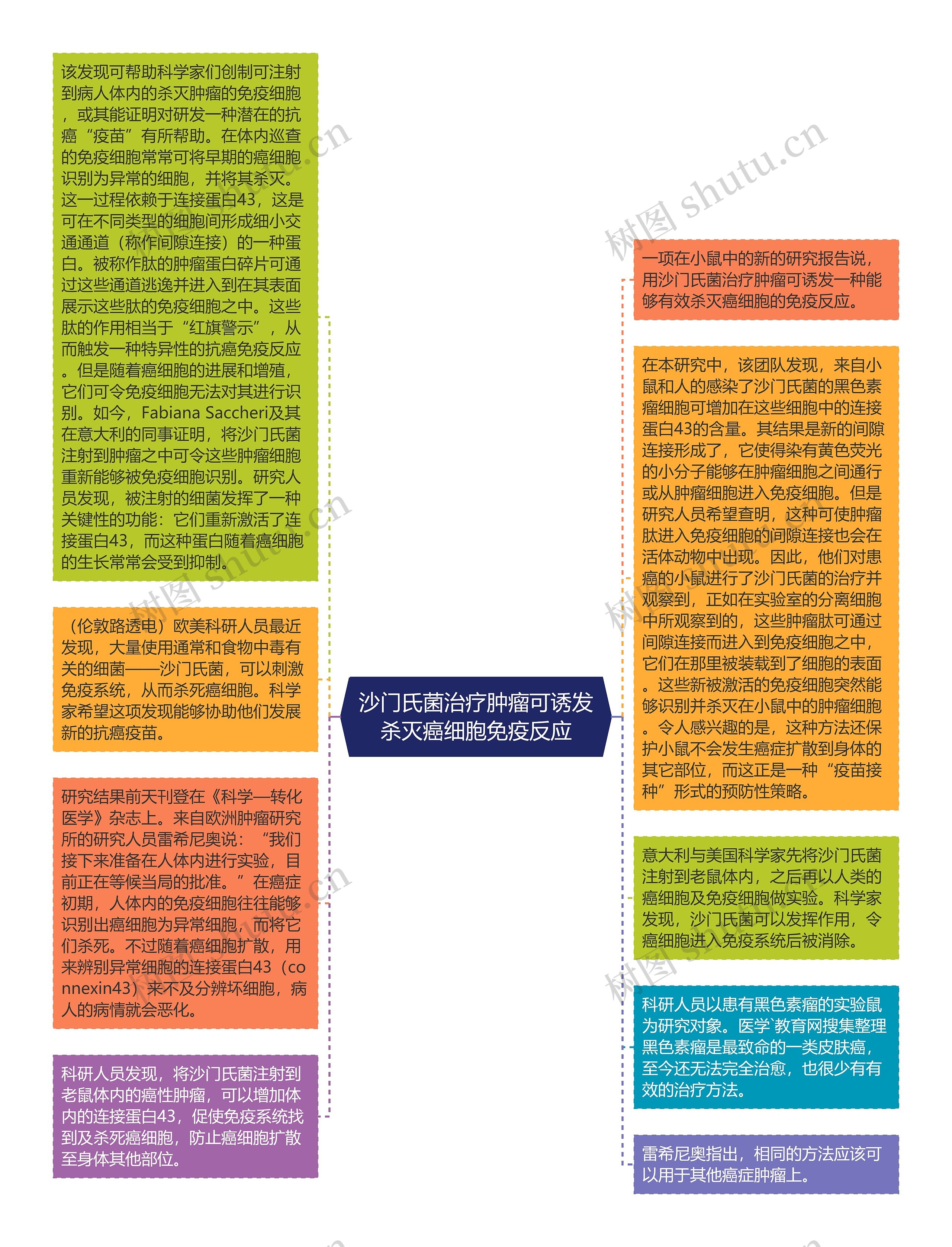 沙门氏菌治疗肿瘤可诱发杀灭癌细胞免疫反应思维导图